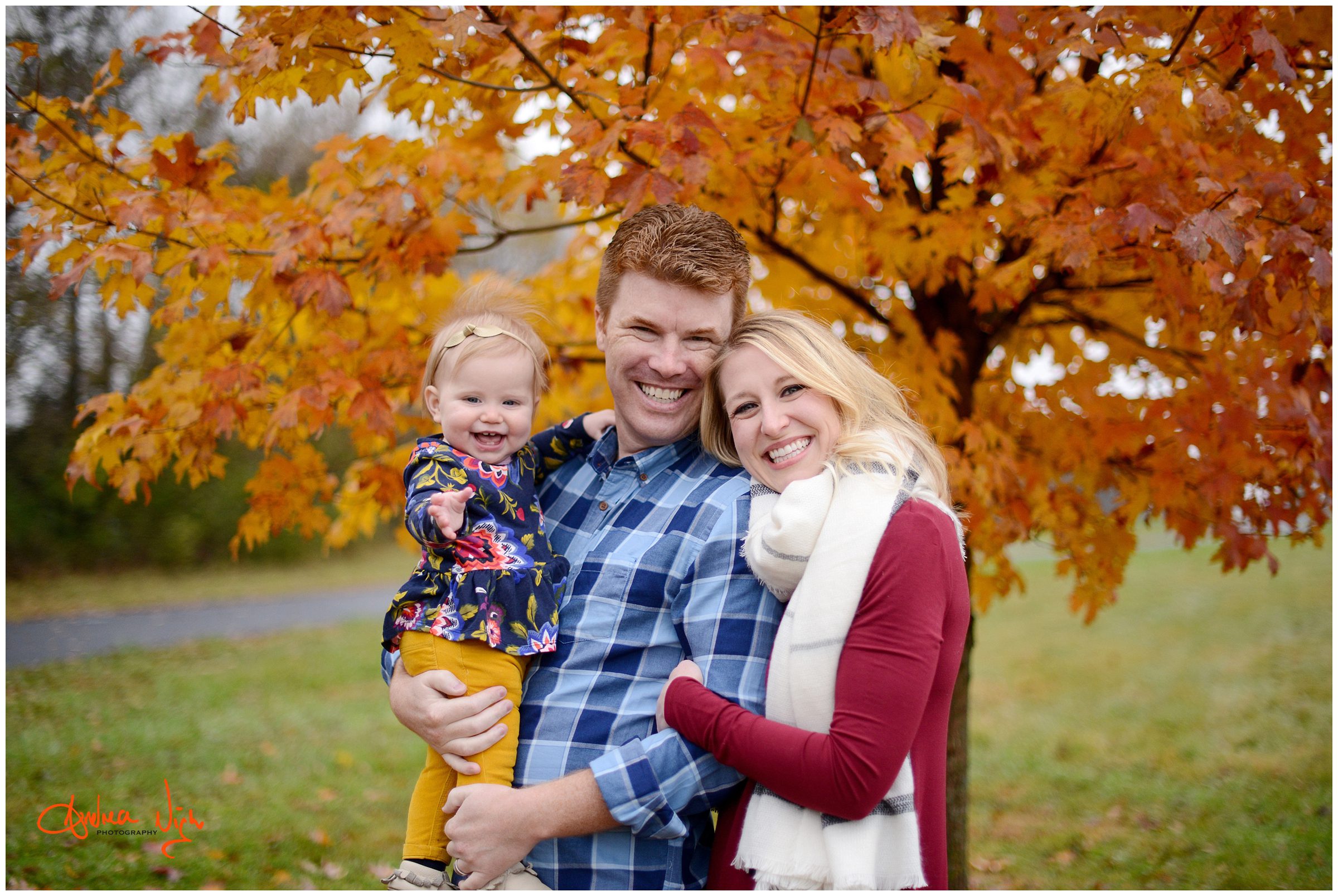 orange leaves fall family