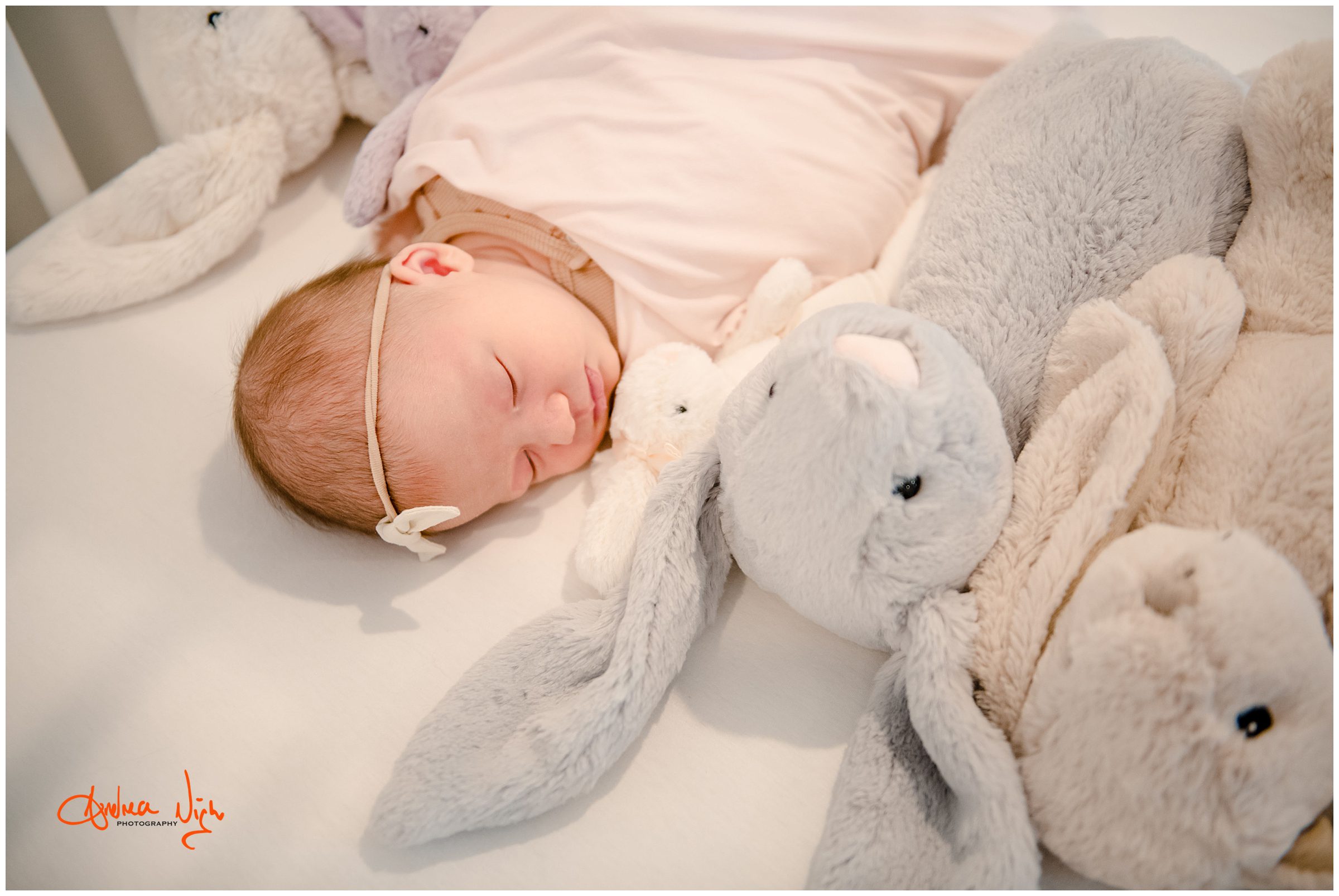Leawood newborn photographer