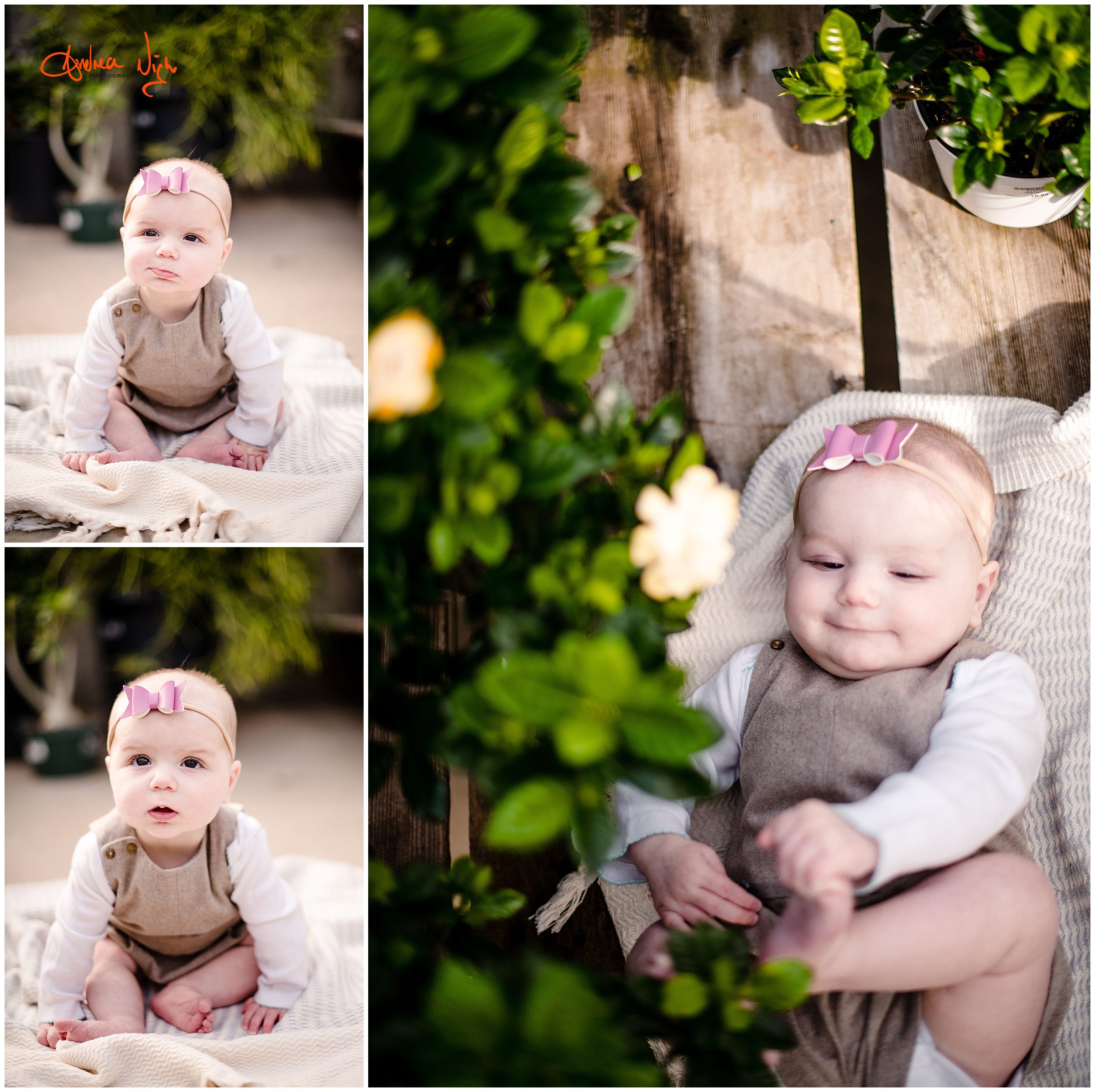 Greenhouse portrait session, KC baby photographer