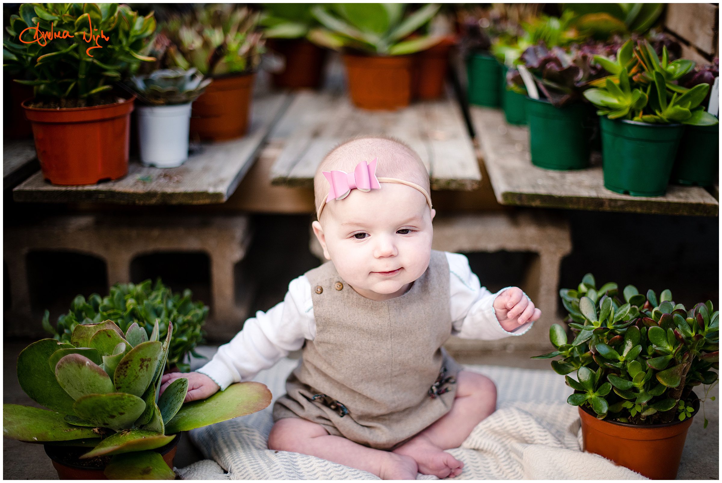 Greenhouse portrait session, KC baby photographer