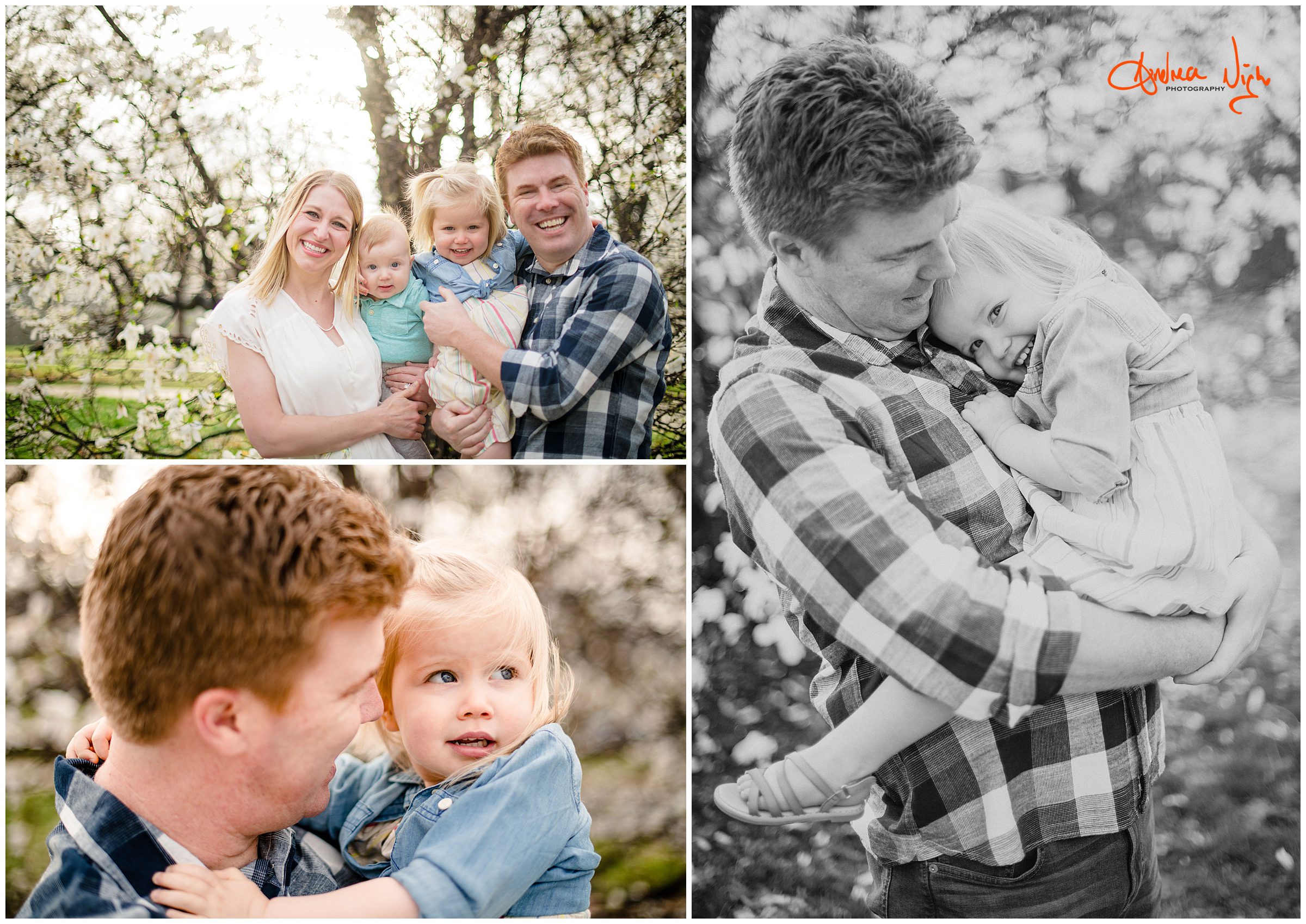 Kansas City family photographer, Loose Park family photos