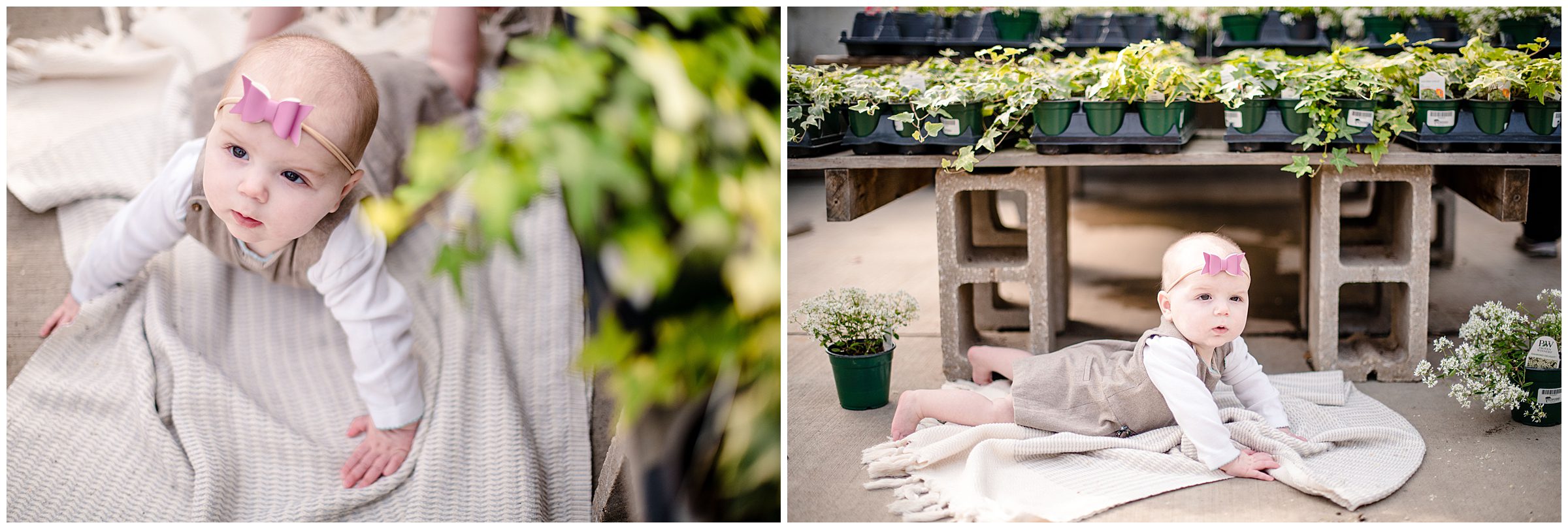 Greenhouse portrait session, KC baby photographer