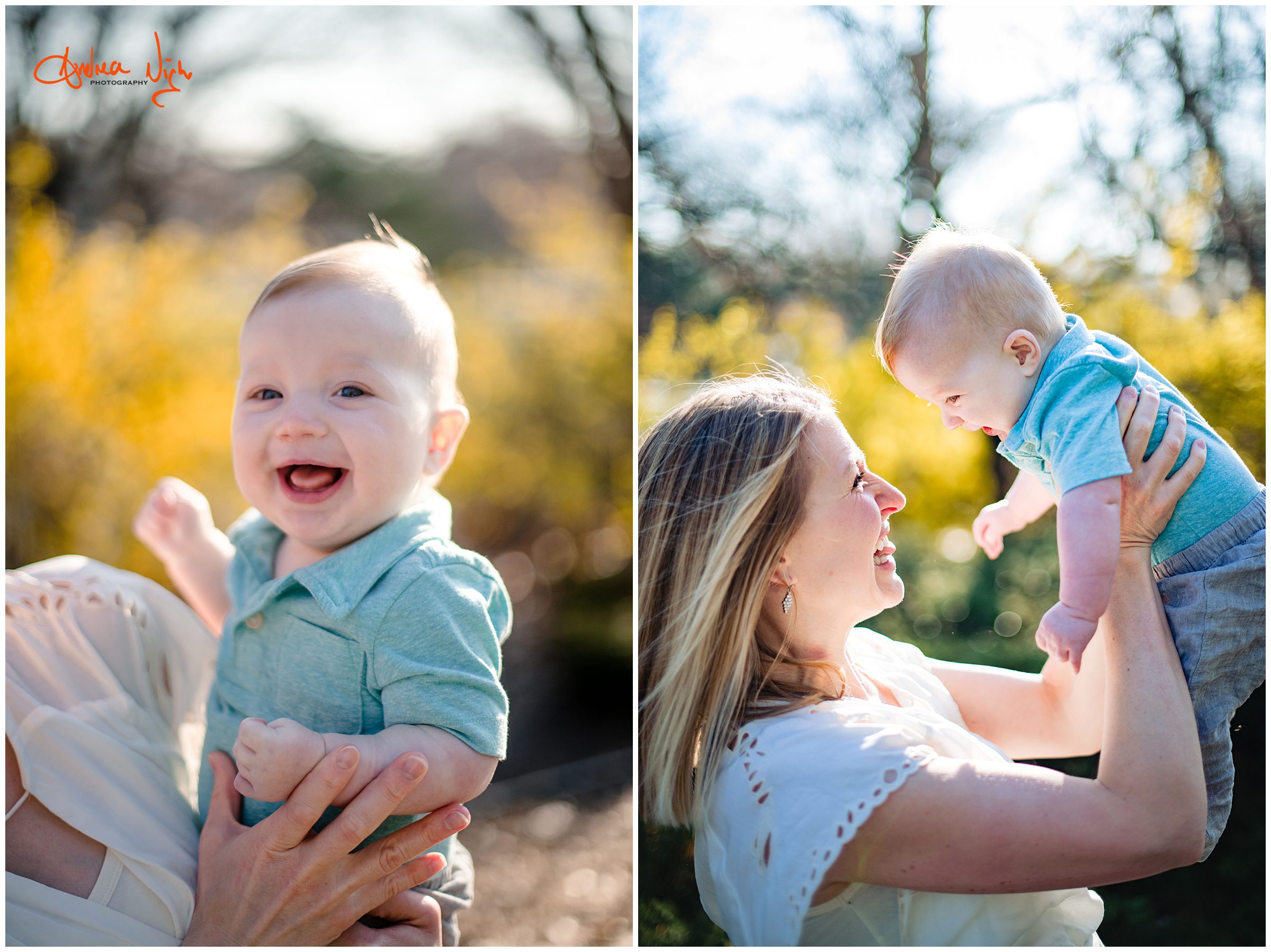 Kansas City family photographer, Loose Park family photos