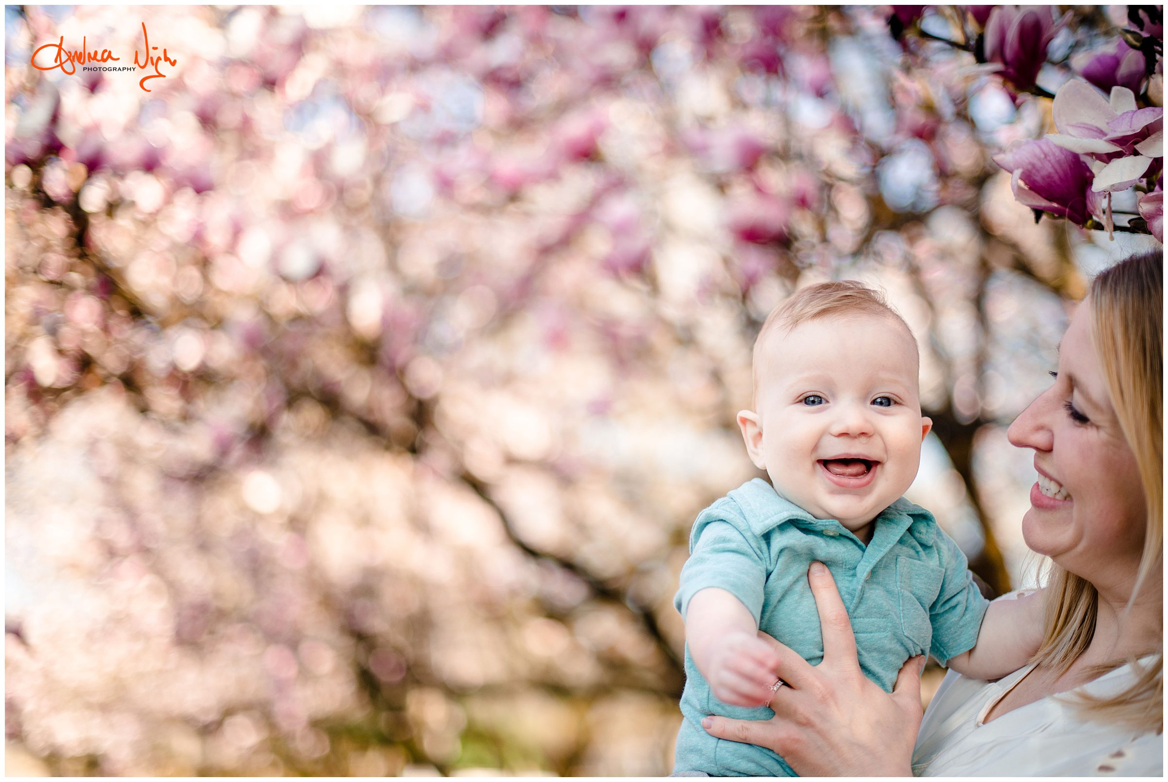 Kansas City family photographer, Loose Park family photos