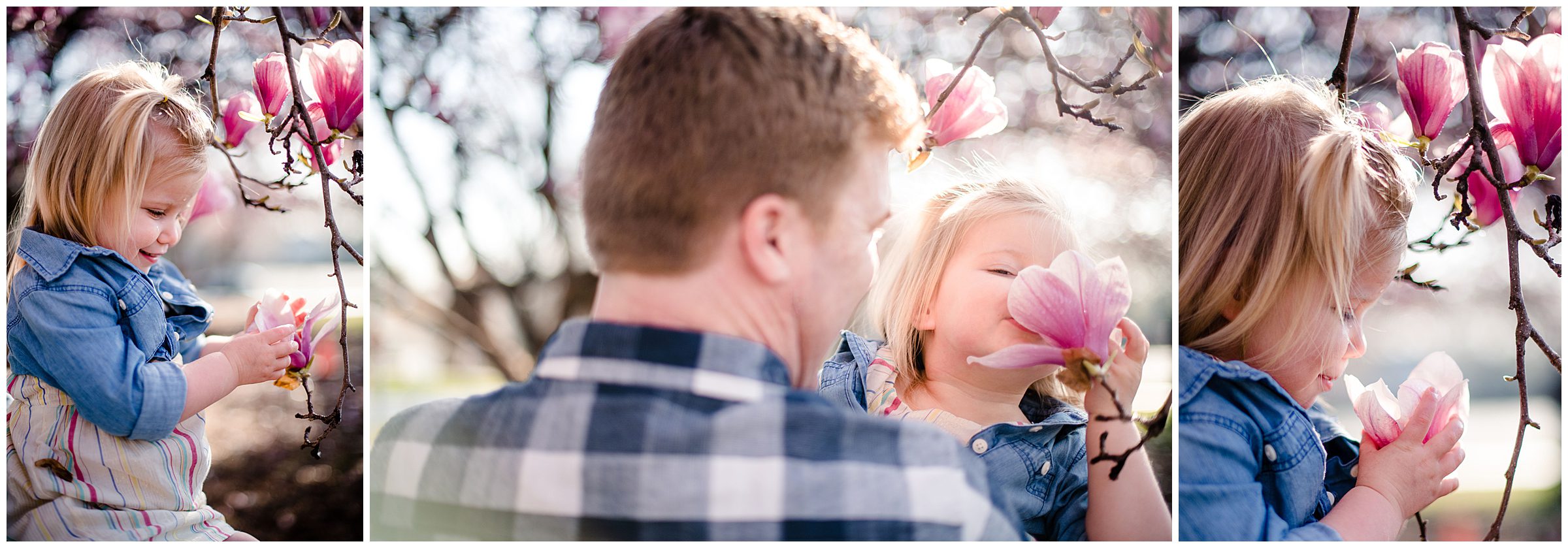 Kansas City family photographer, Loose Park family photos