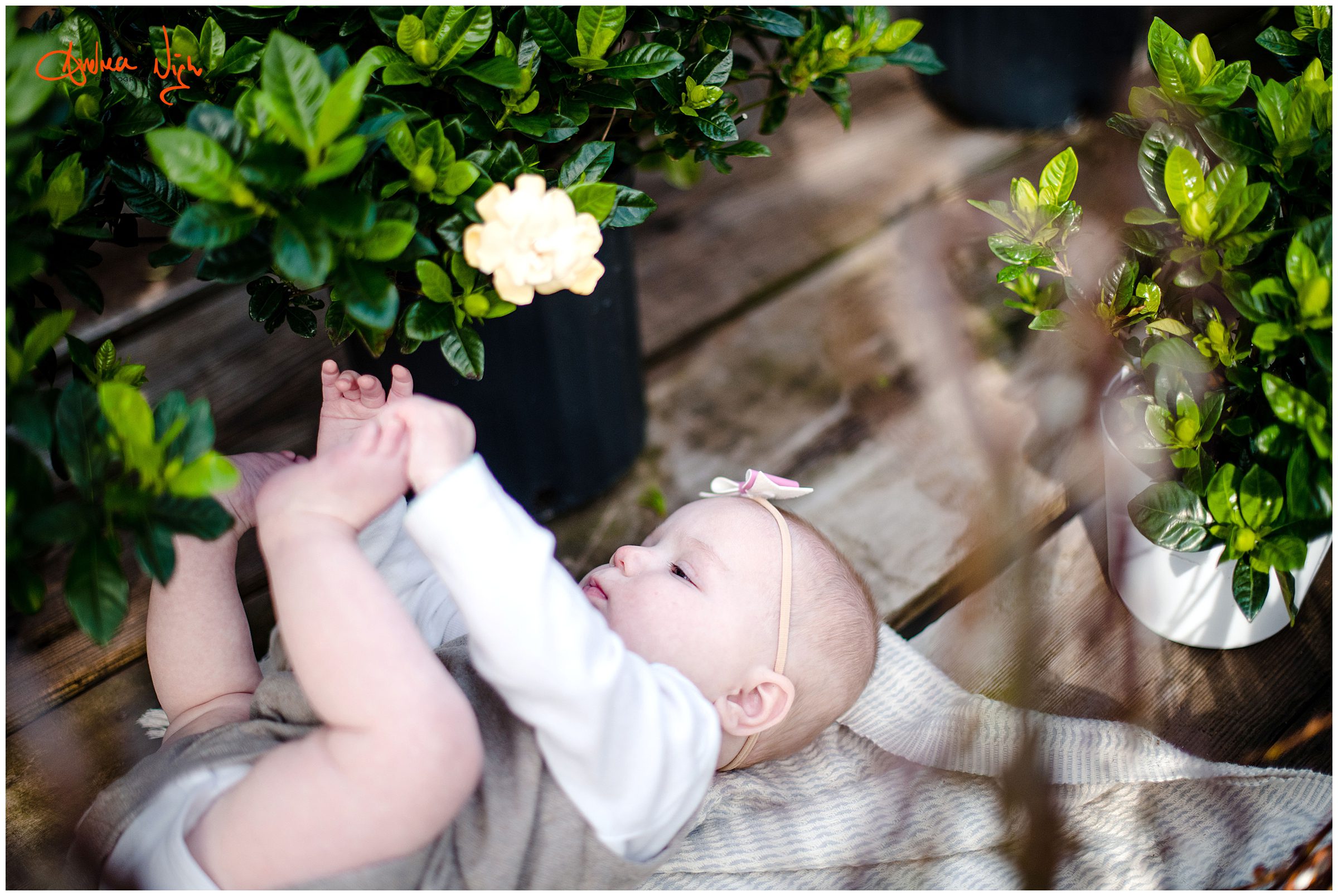 Greenhouse portrait session, KC baby photographer