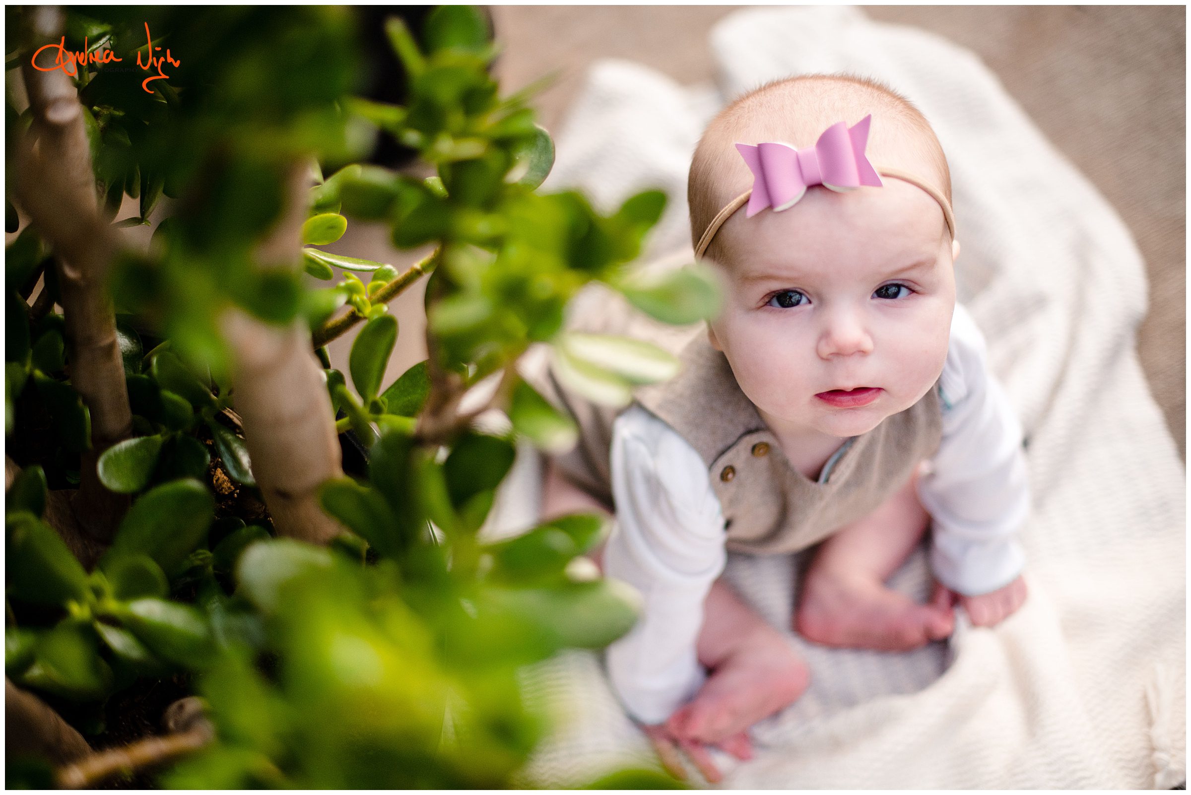 Greenhouse portrait session, KC baby photographer