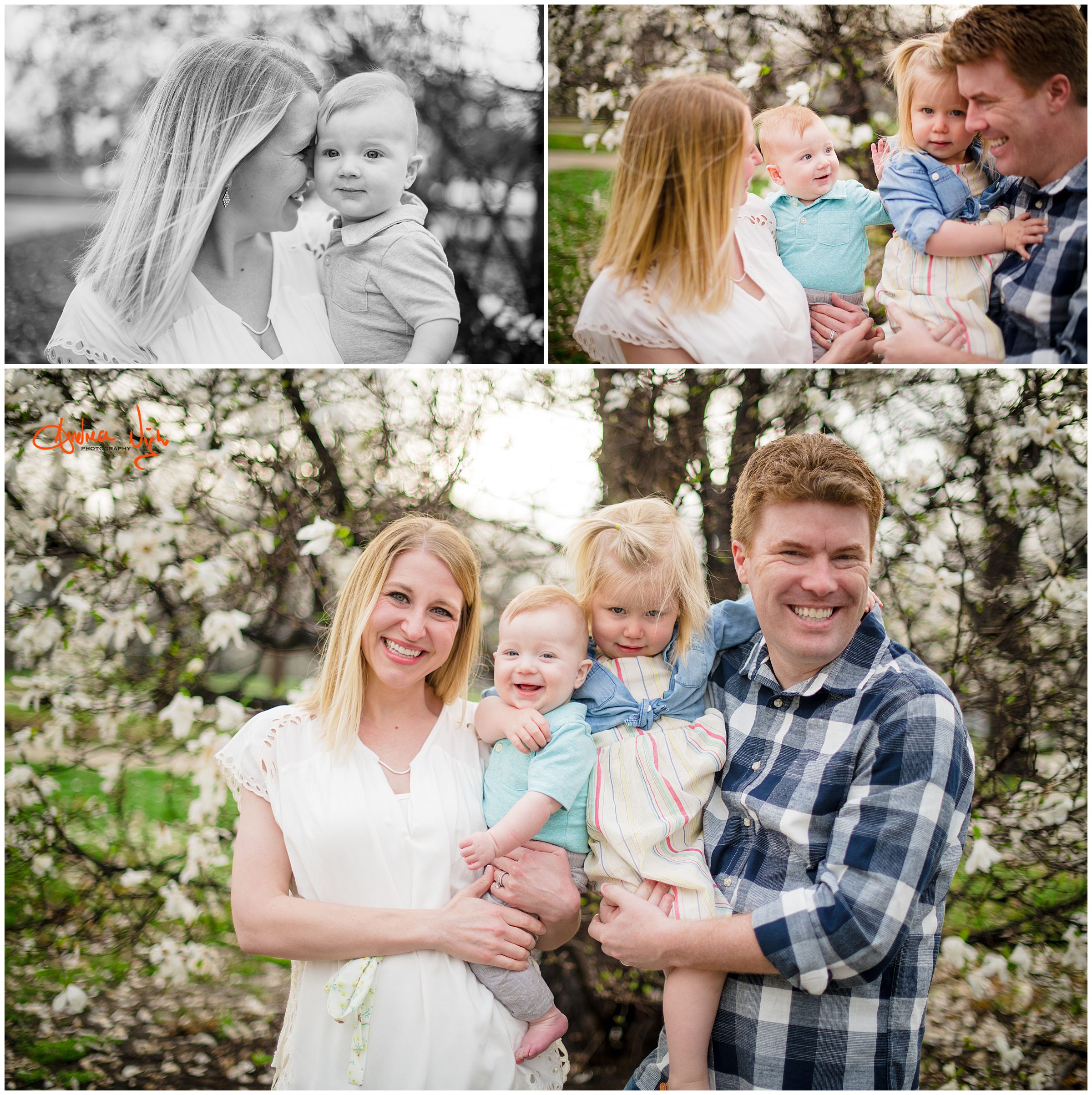 Kansas City family photographer, Loose Park family photos
