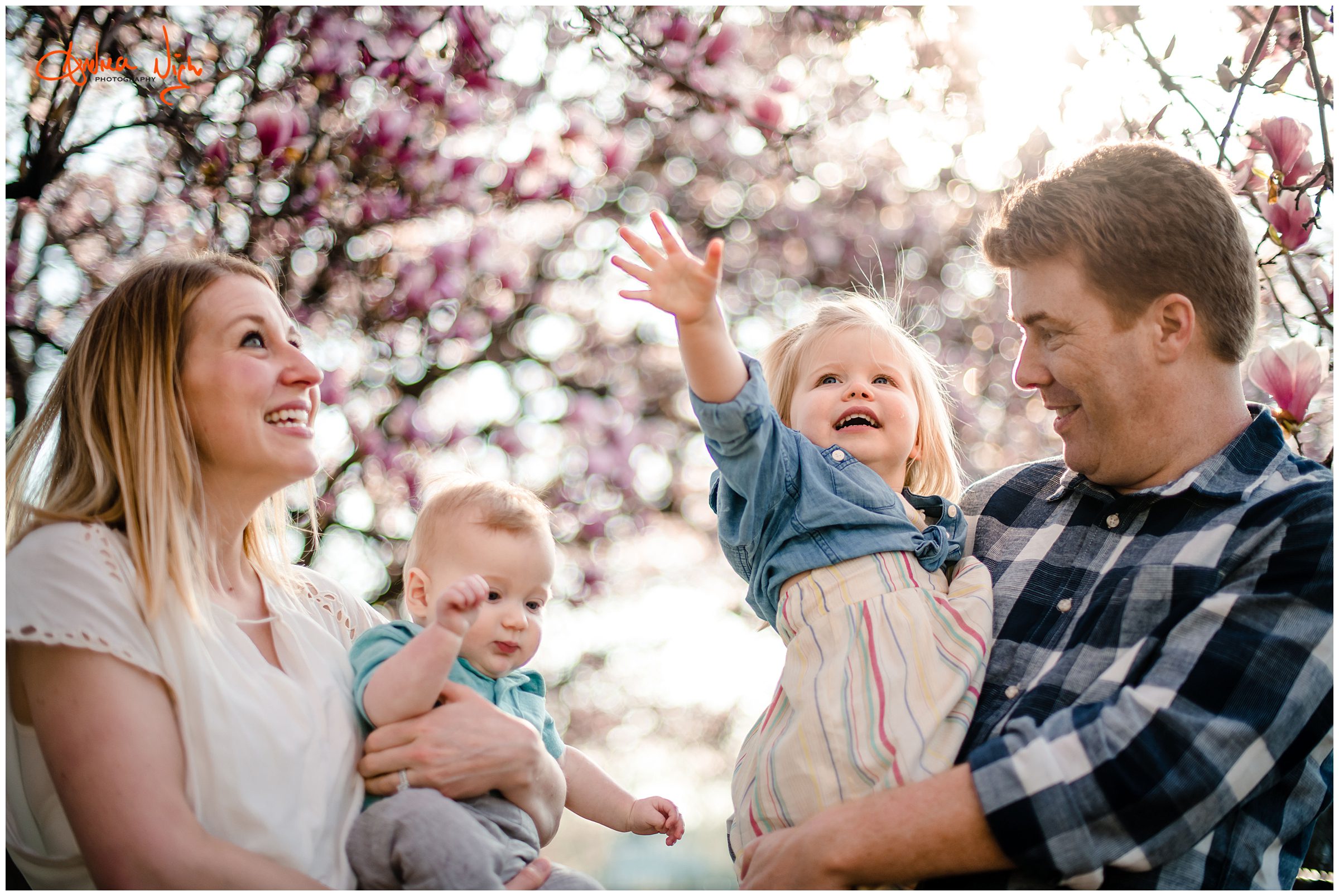 Kansas City family photographer, Loose Park family photos