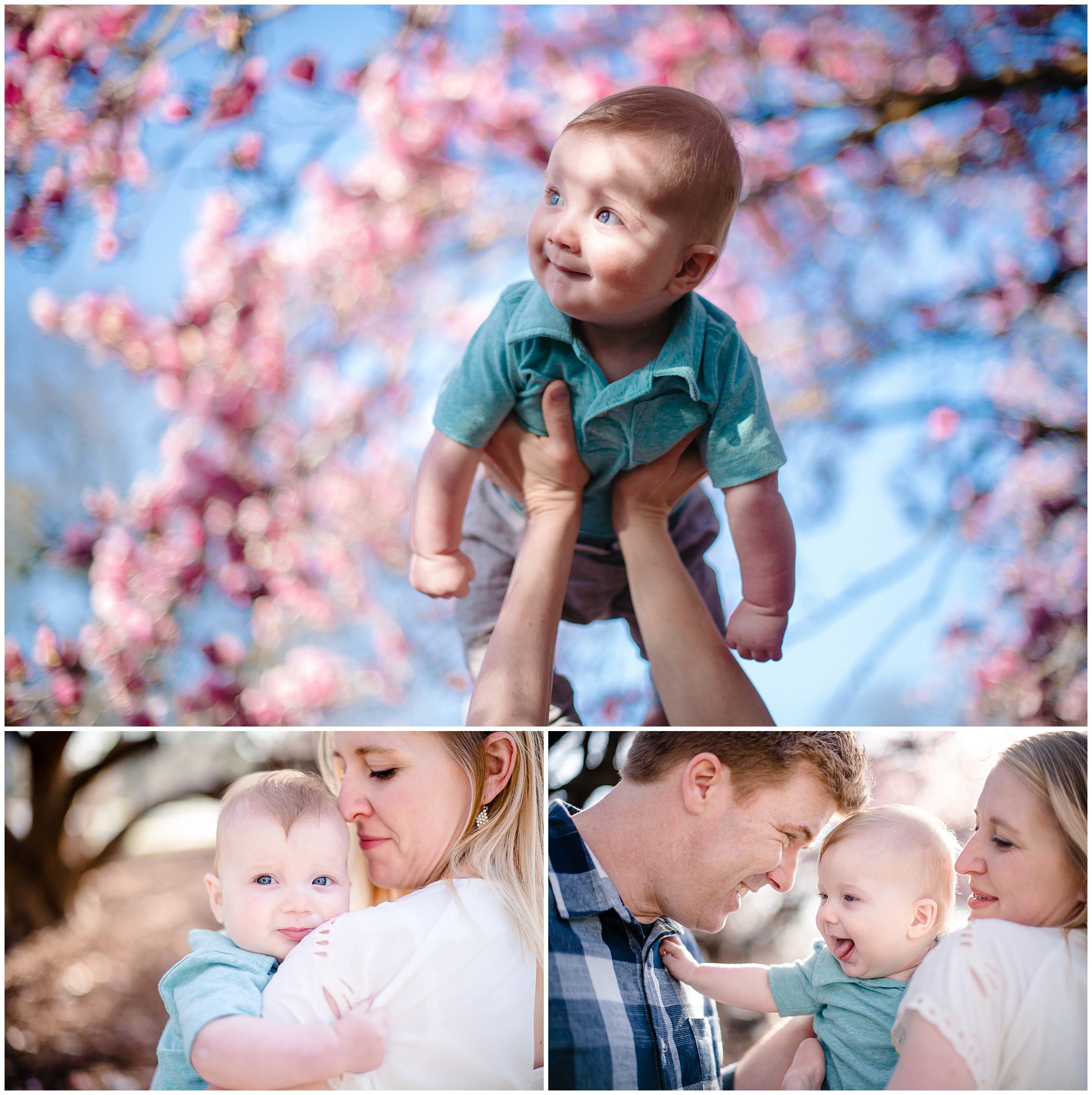 Kansas City family photographer, Loose Park family photos