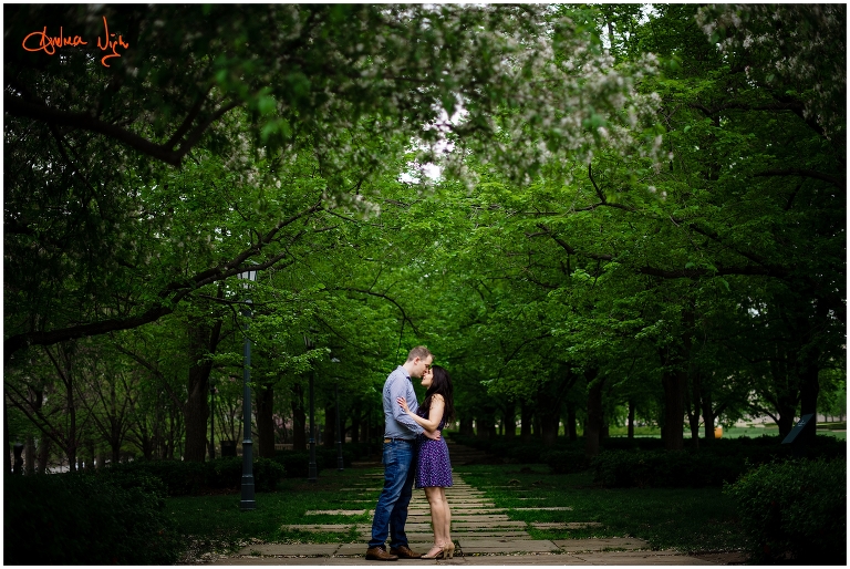 Loose park and The Nelson engagement session