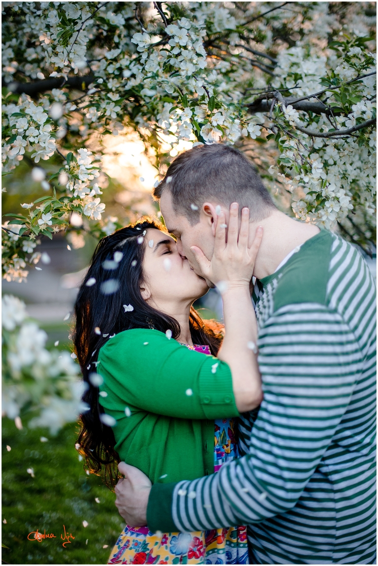 Loose park and The Nelson engagement session