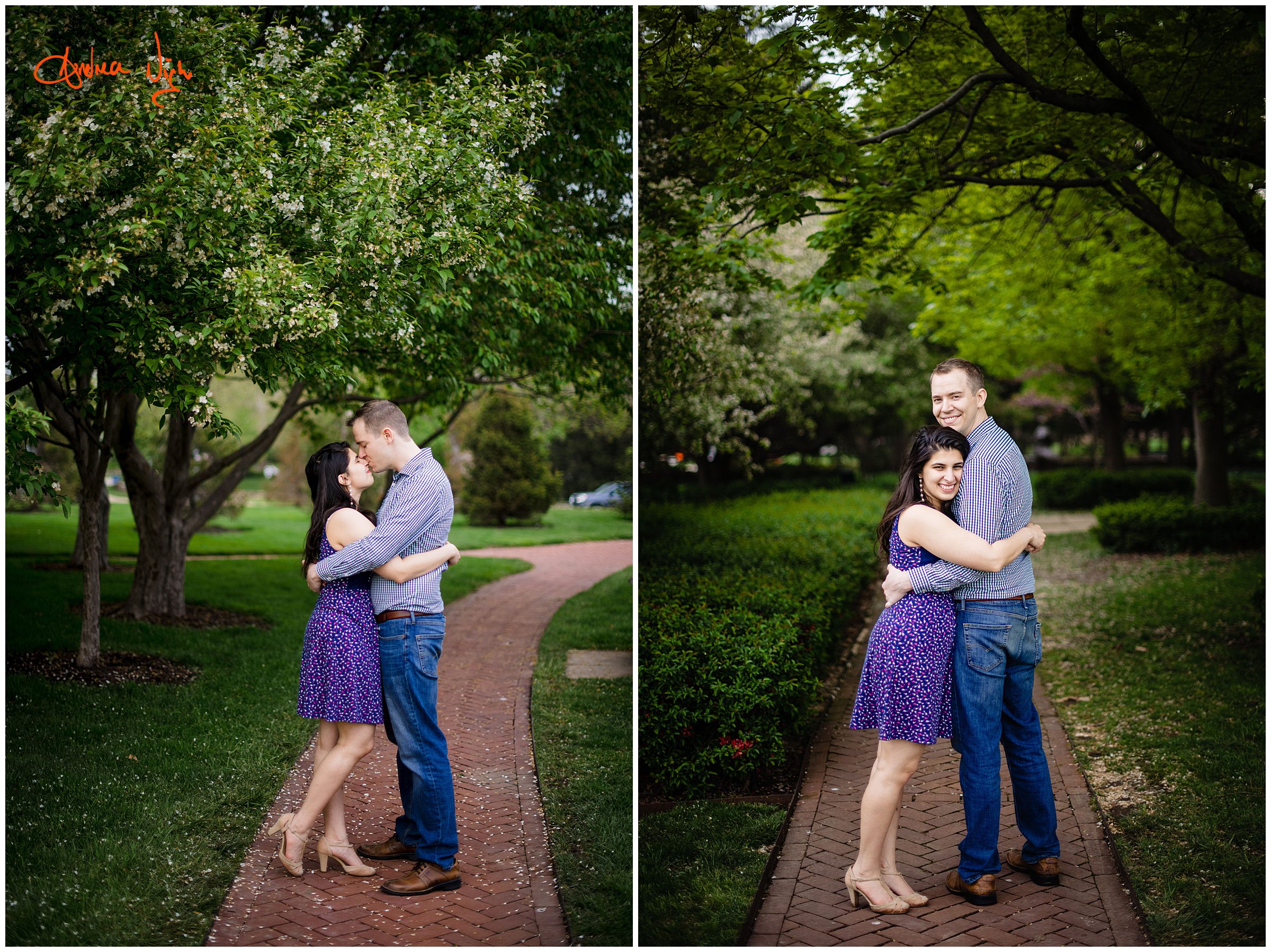 Loose park and The Nelson engagement session