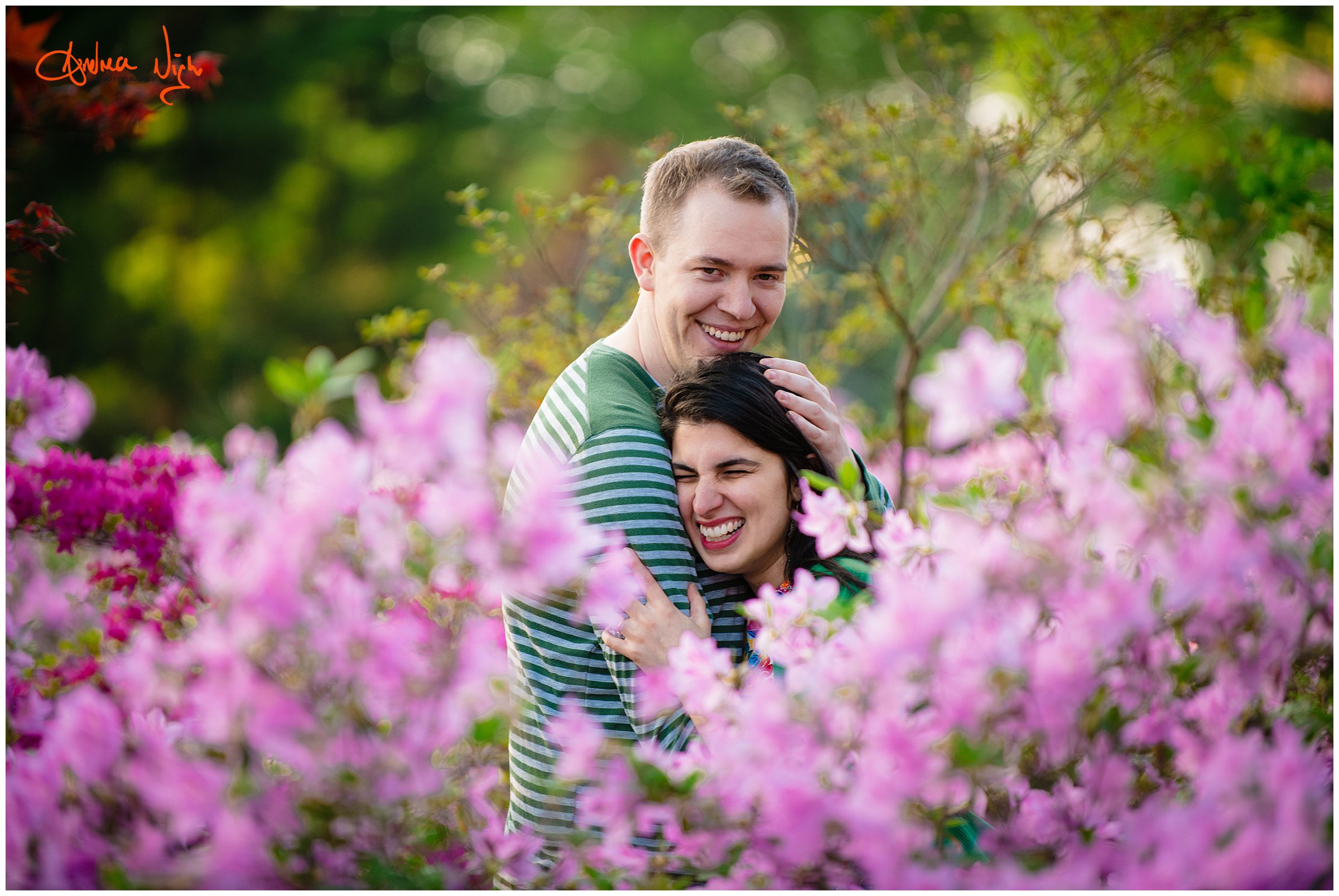 Loose park and The Nelson engagement session