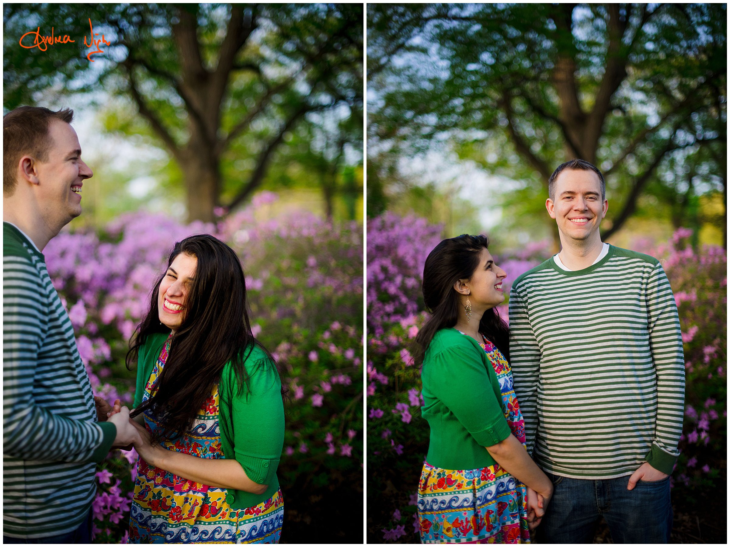 Loose park and The Nelson engagement session