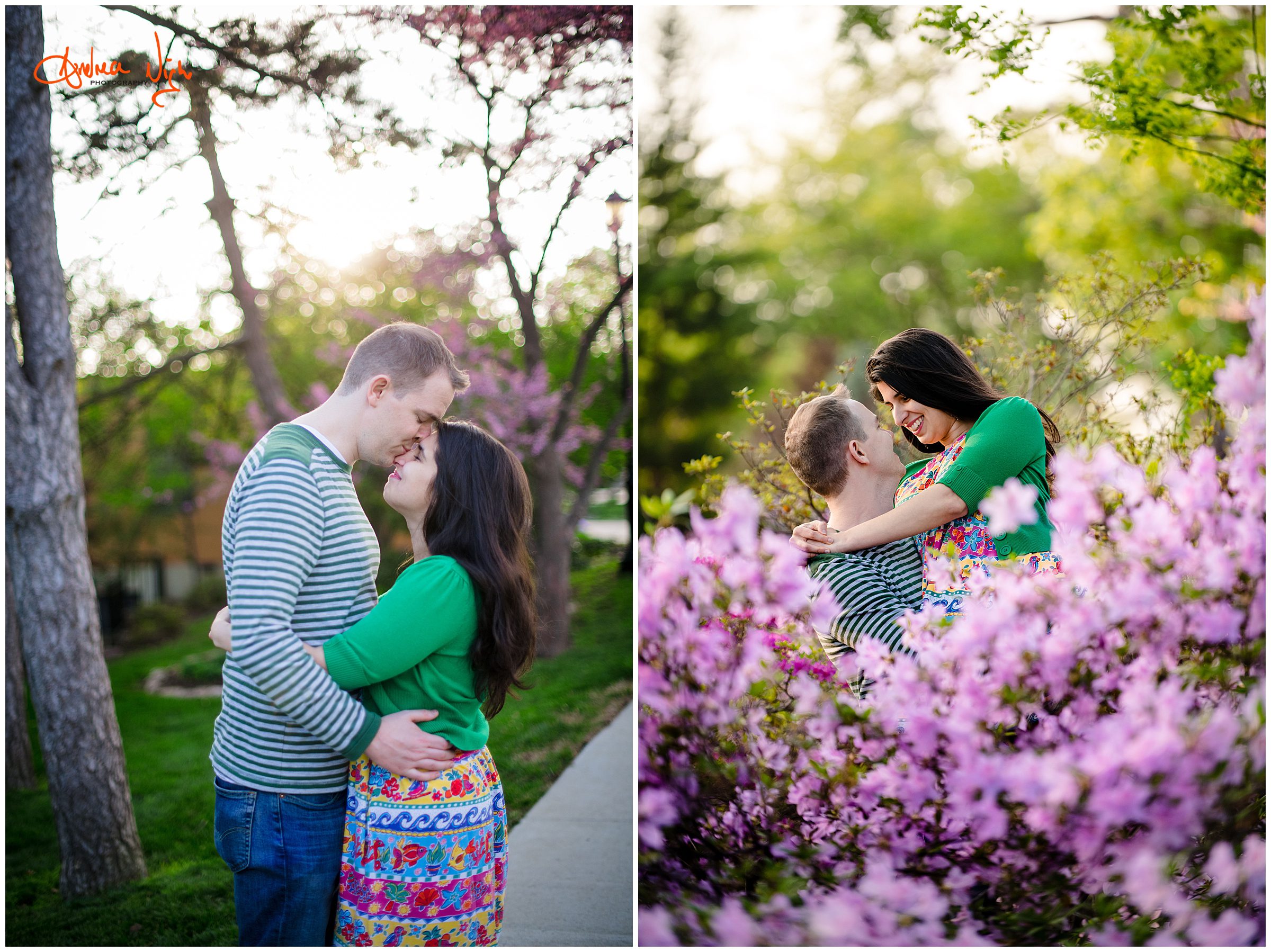 Loose park and The Nelson engagement session