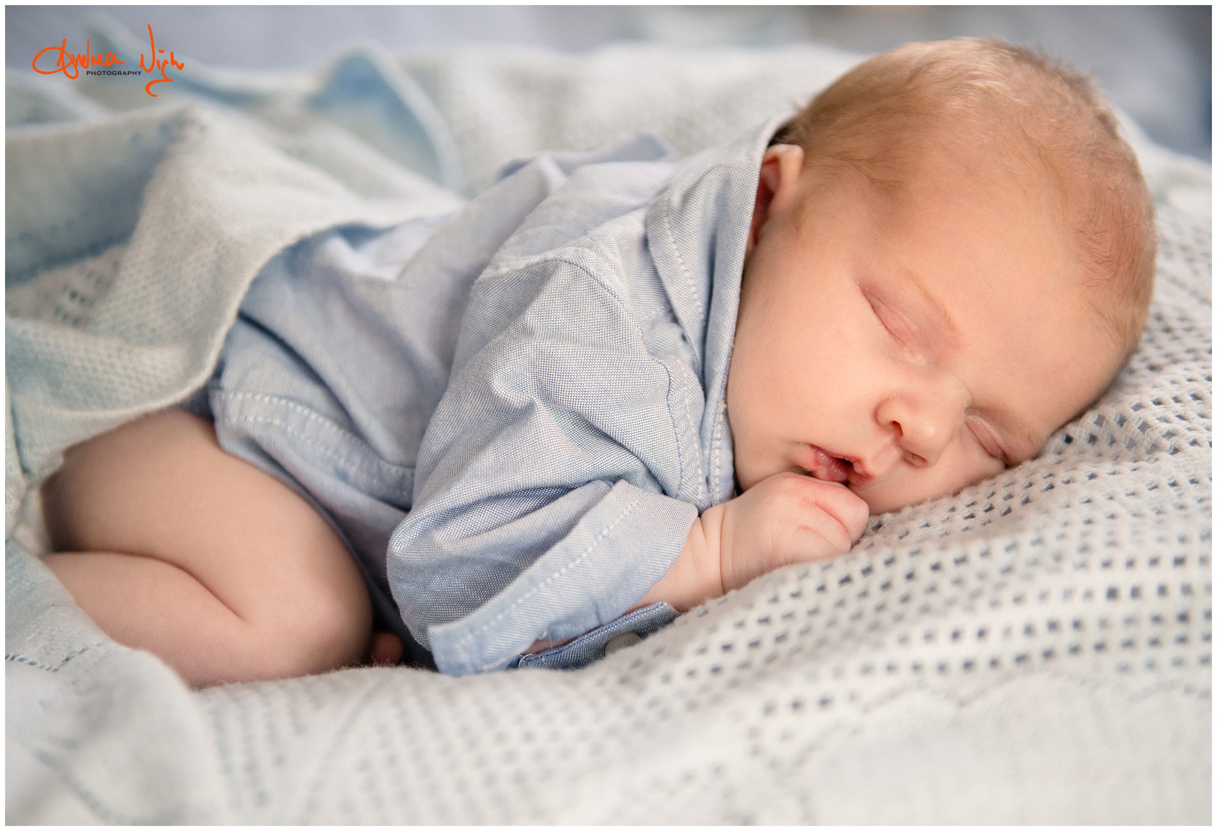 KC newborn photography