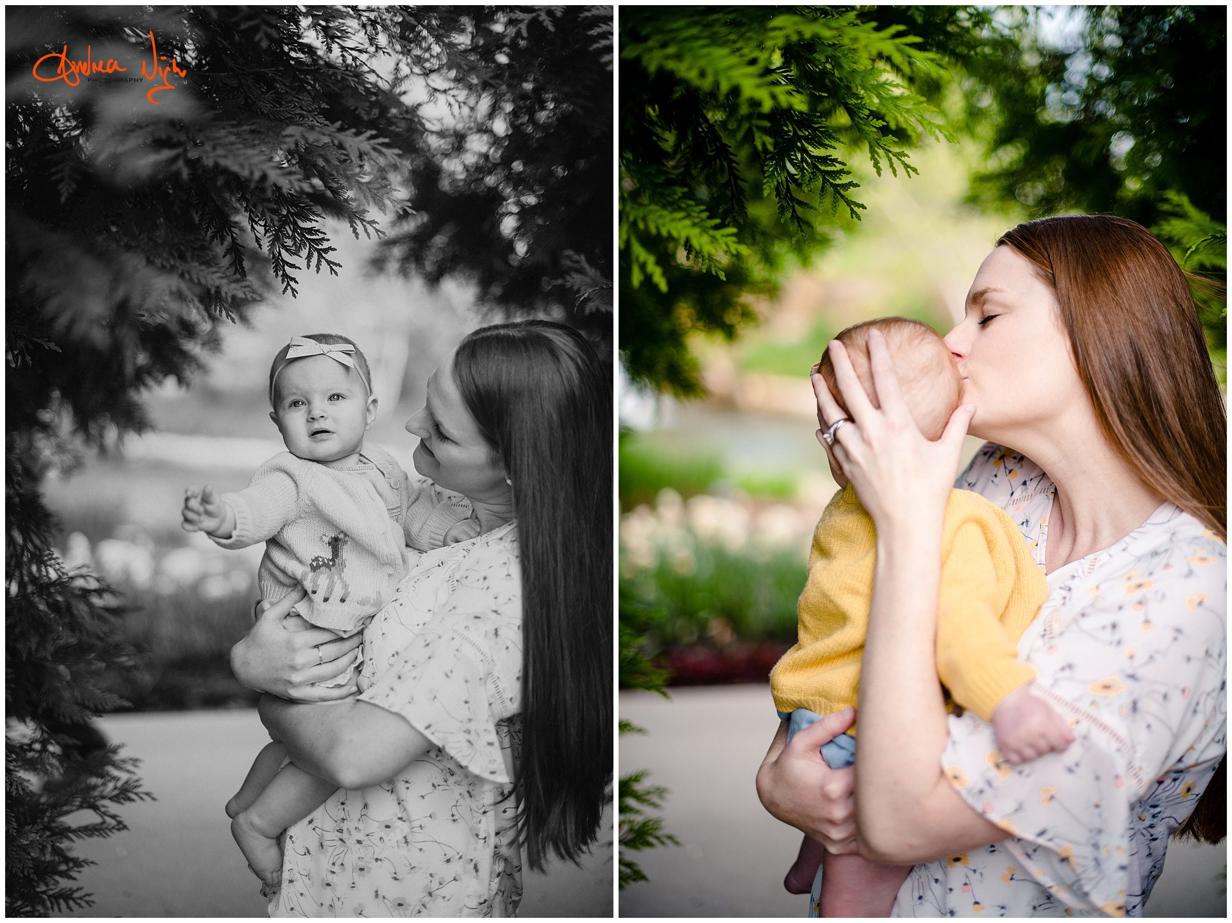 KC family photographer, Overland Park Arboretum