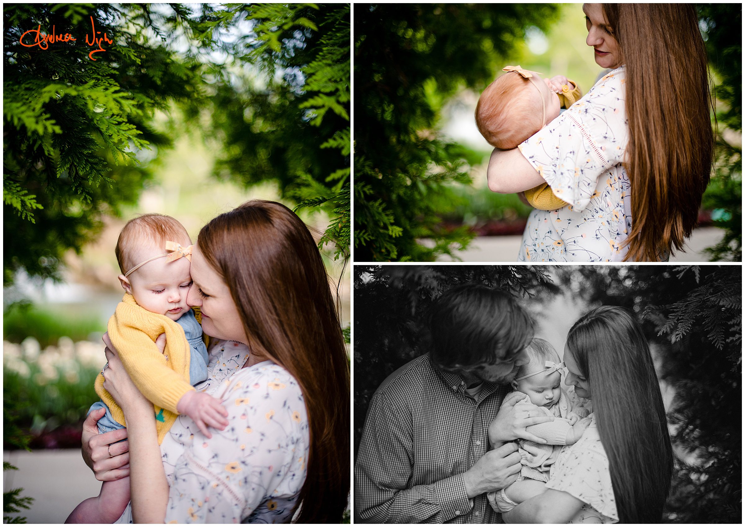 KC family photographer, Overland Park Arboretum