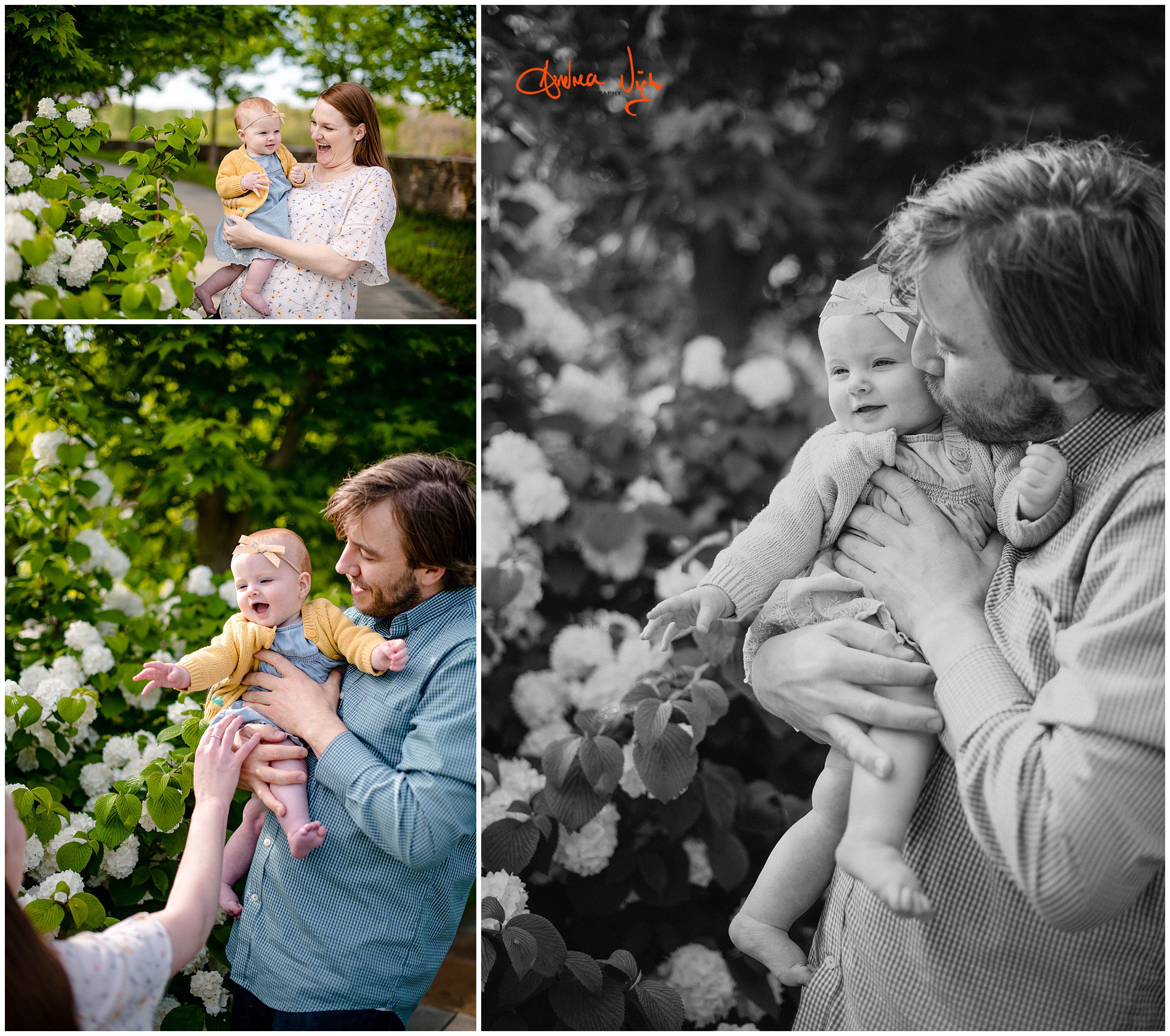 KC family photographer, Overland Park Arboretum