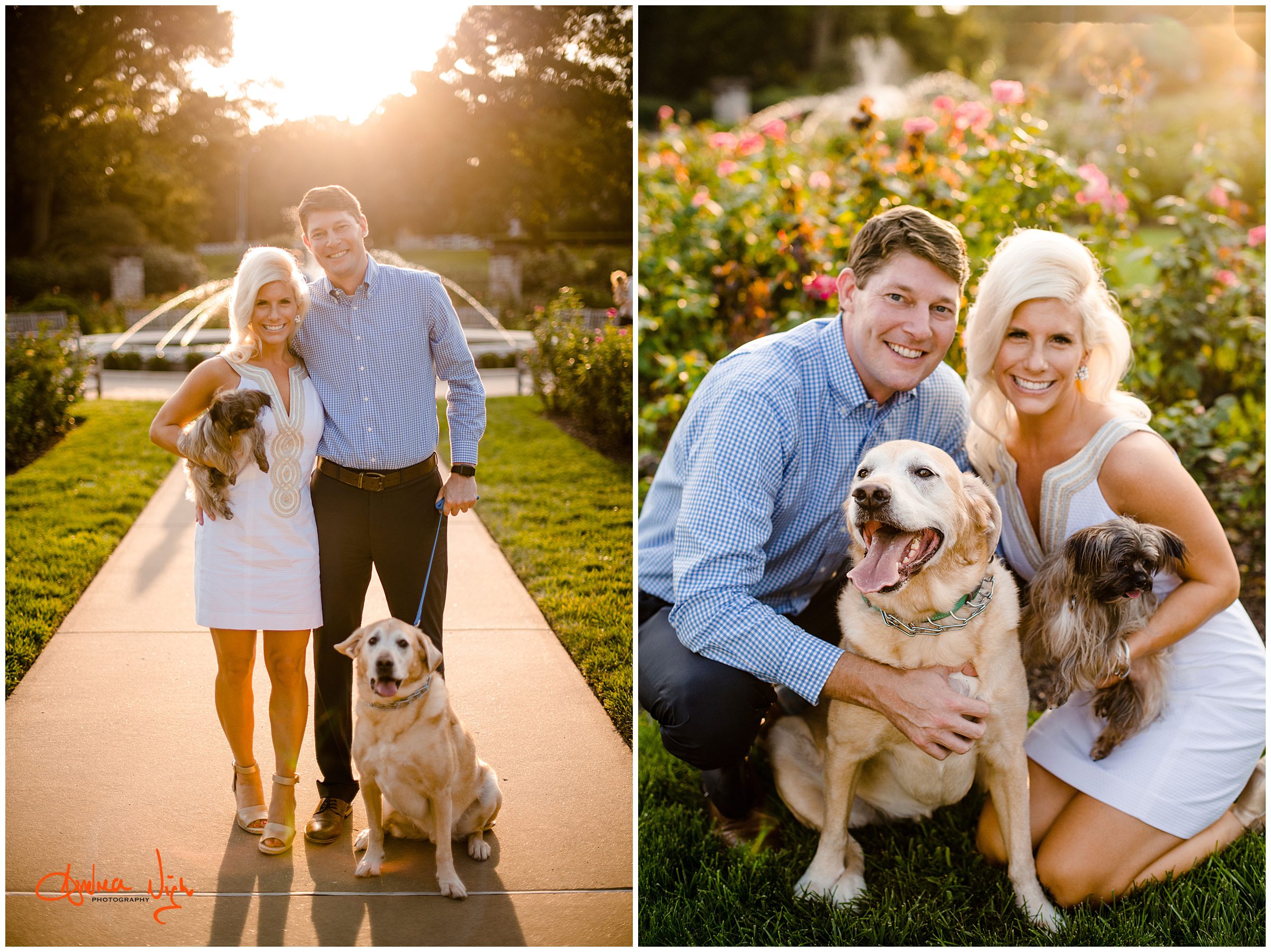 Plaza and Loose Park engagement session