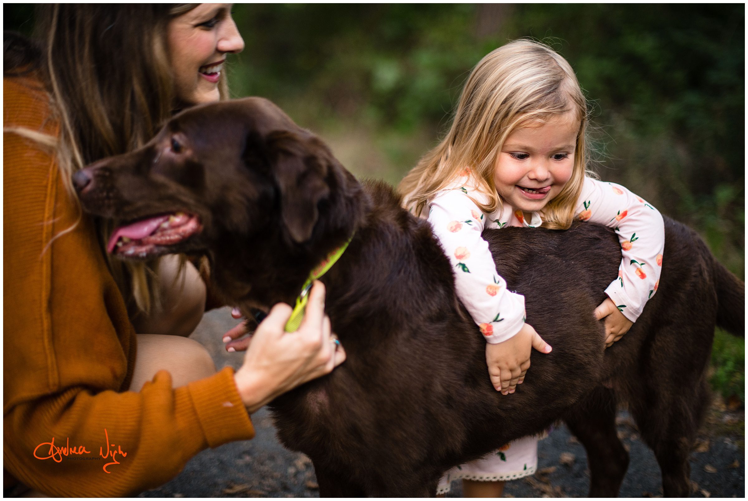 Ironwoods family photography session, KC family photographer