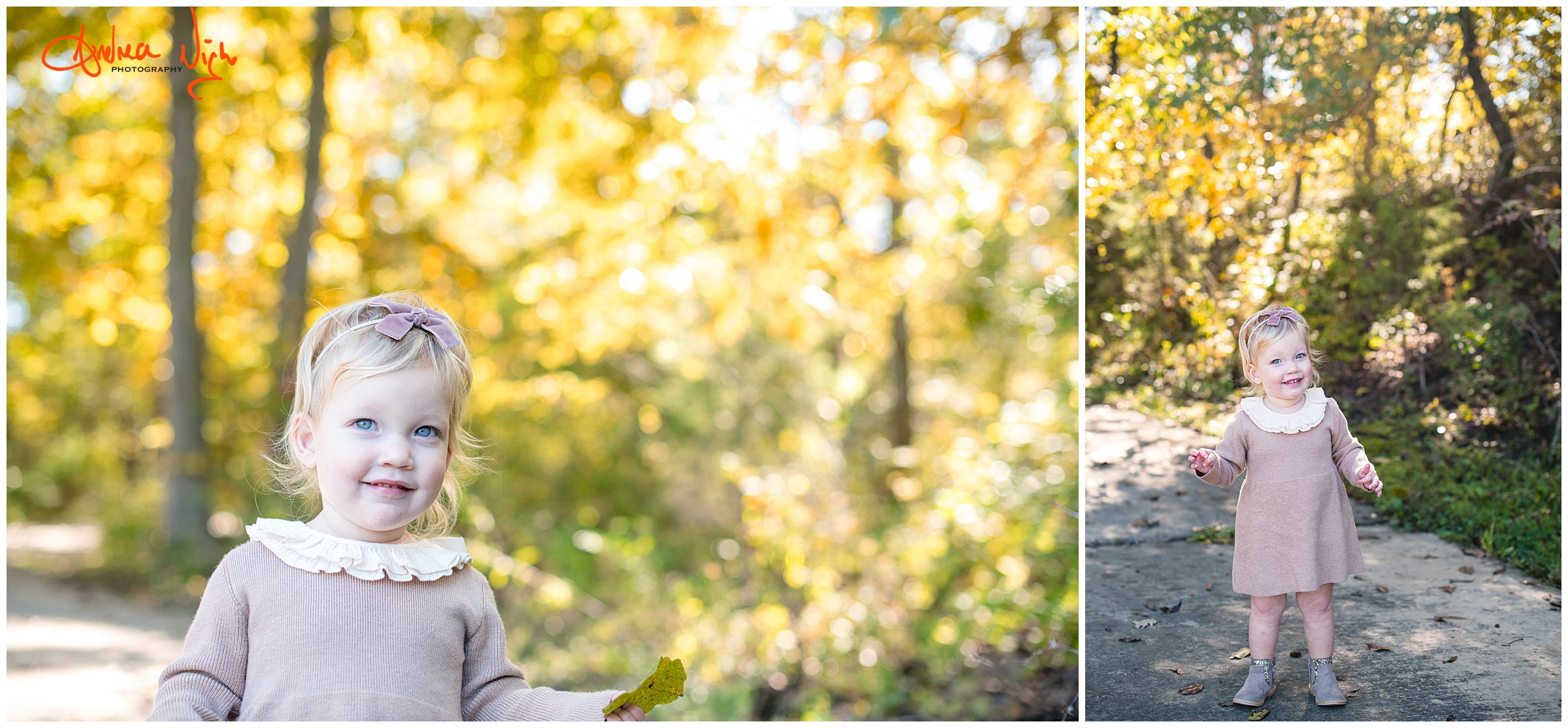 Fall family photos, Ironwoods
