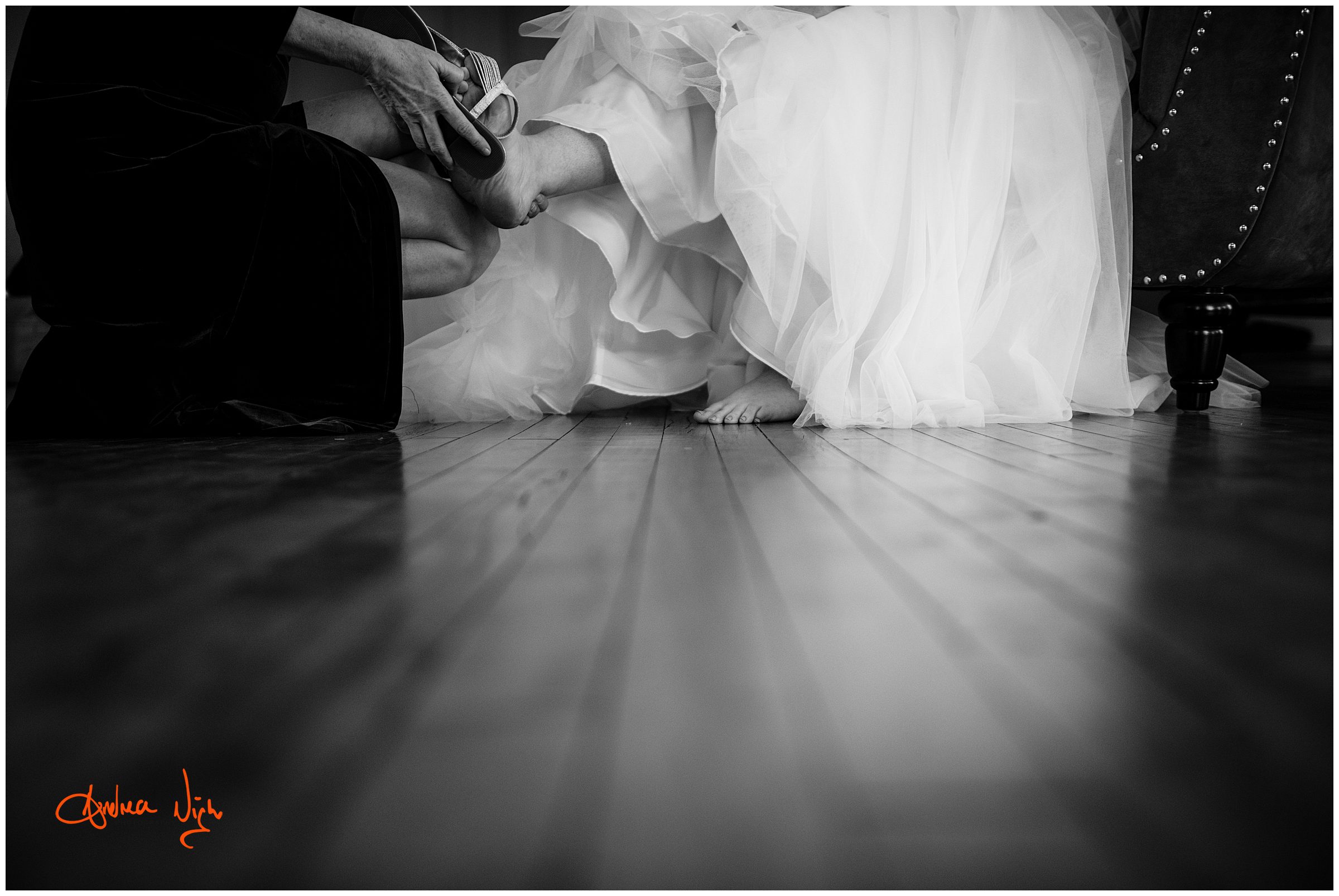 Belvoir Winery wedding