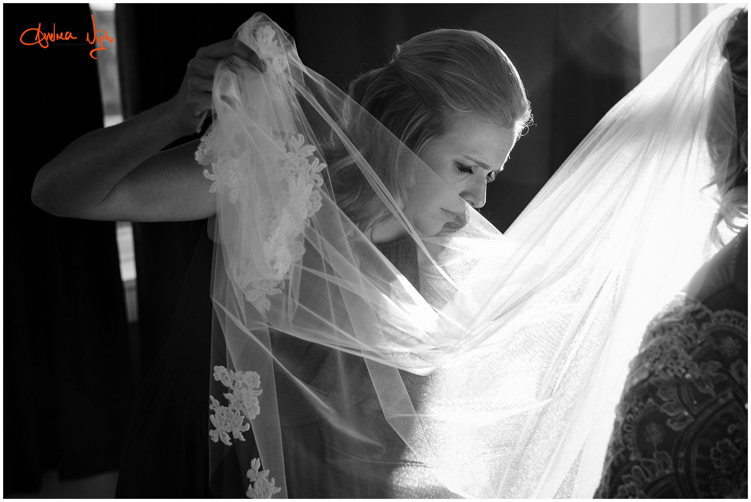 Belvoir Winery wedding