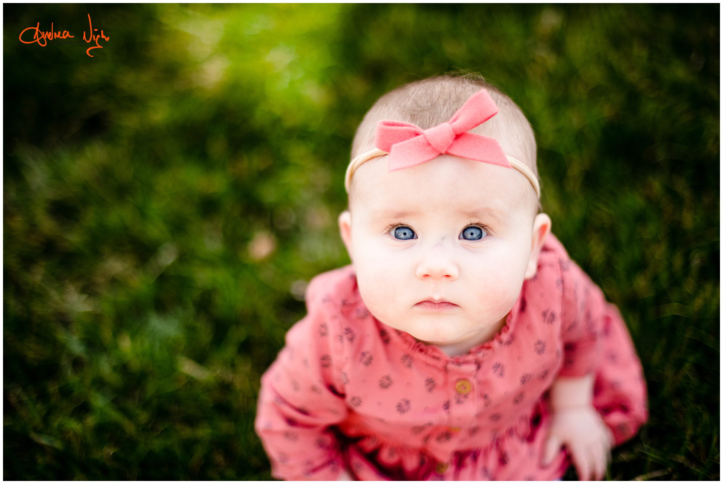 Sitter session at The Nelson