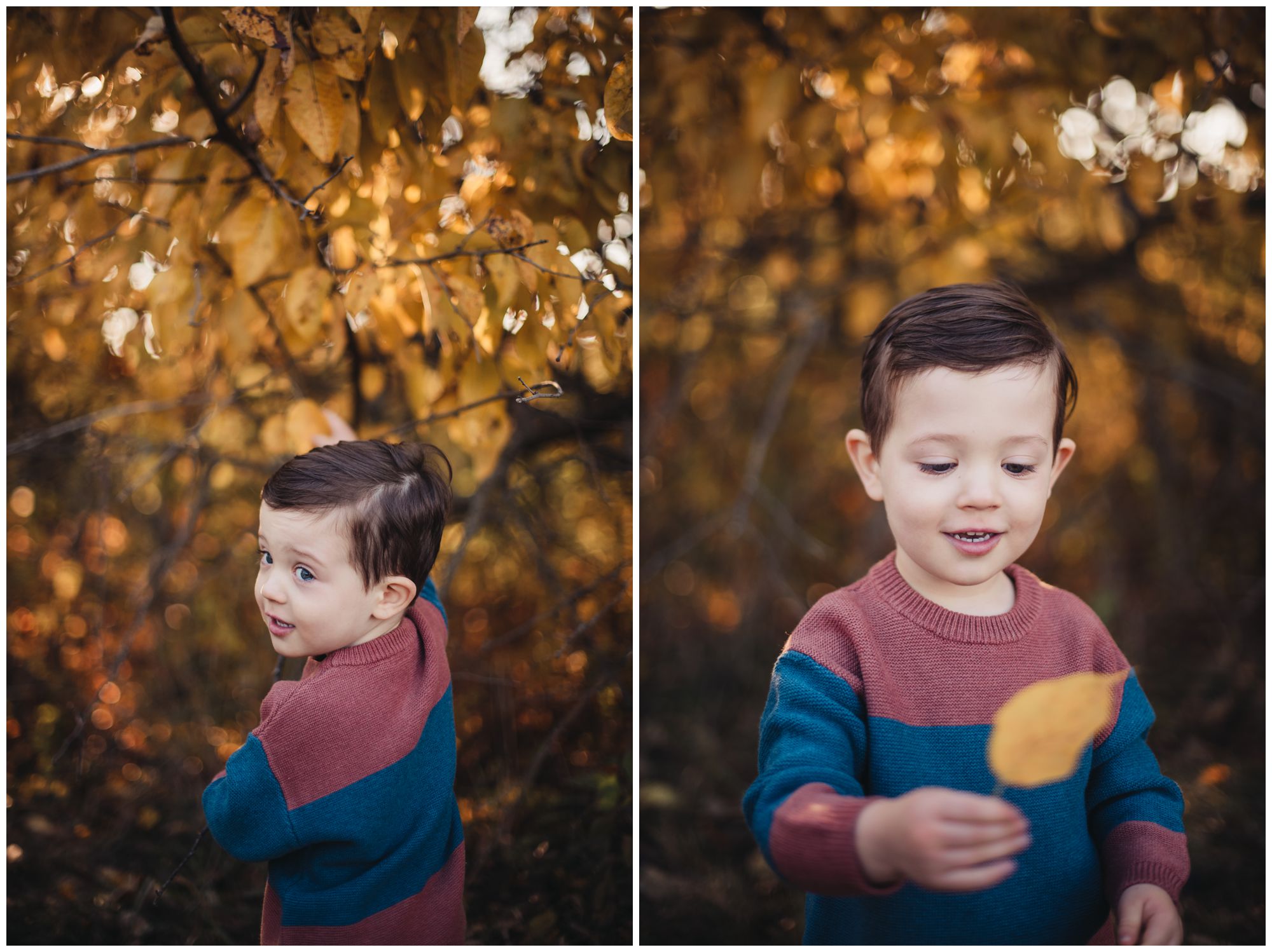 Shawnee Mission Park family photos, Novick family