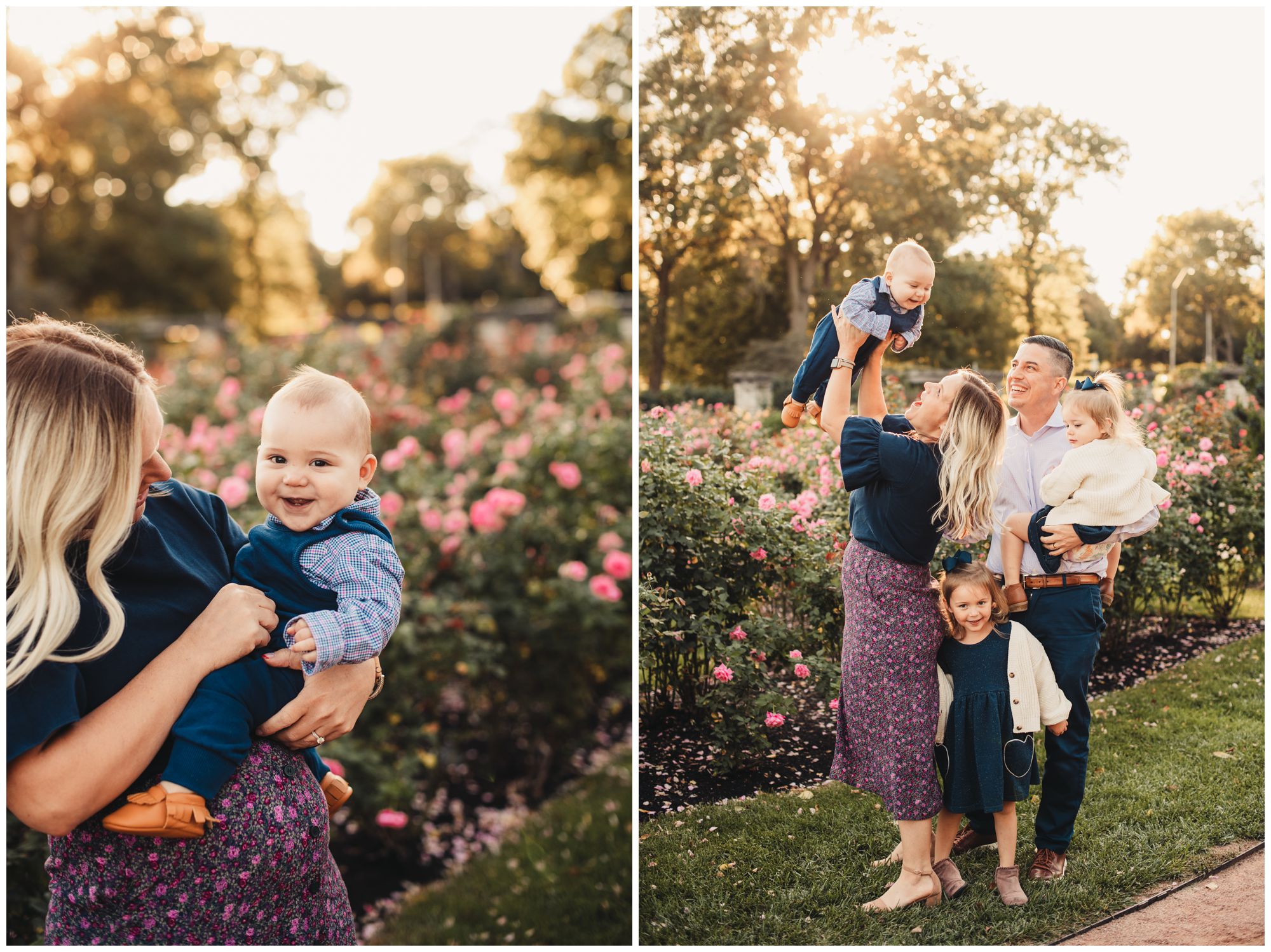 Loose Park Rose Garden family portrait session