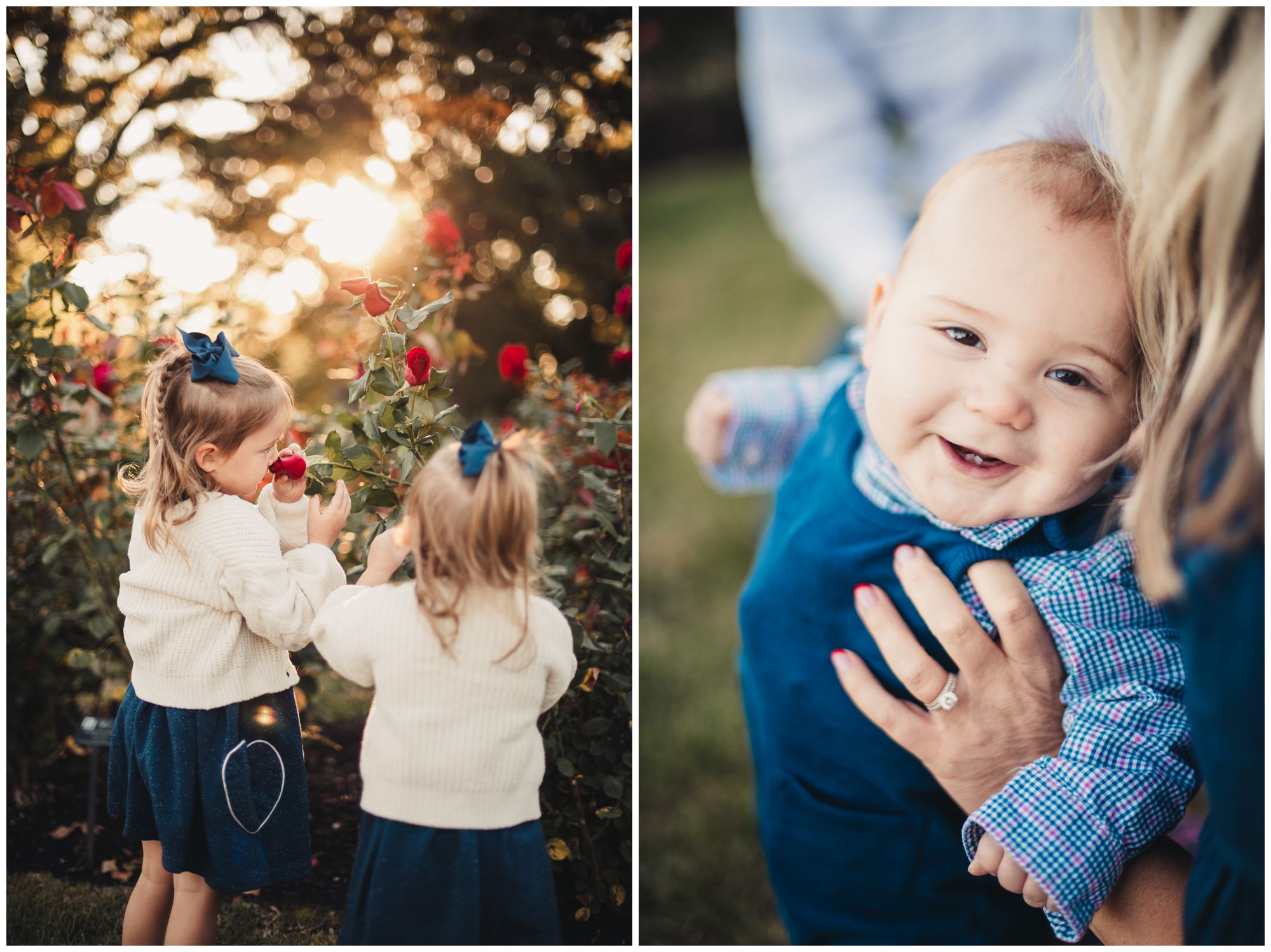 Loose Park Rose Garden family portrait session
