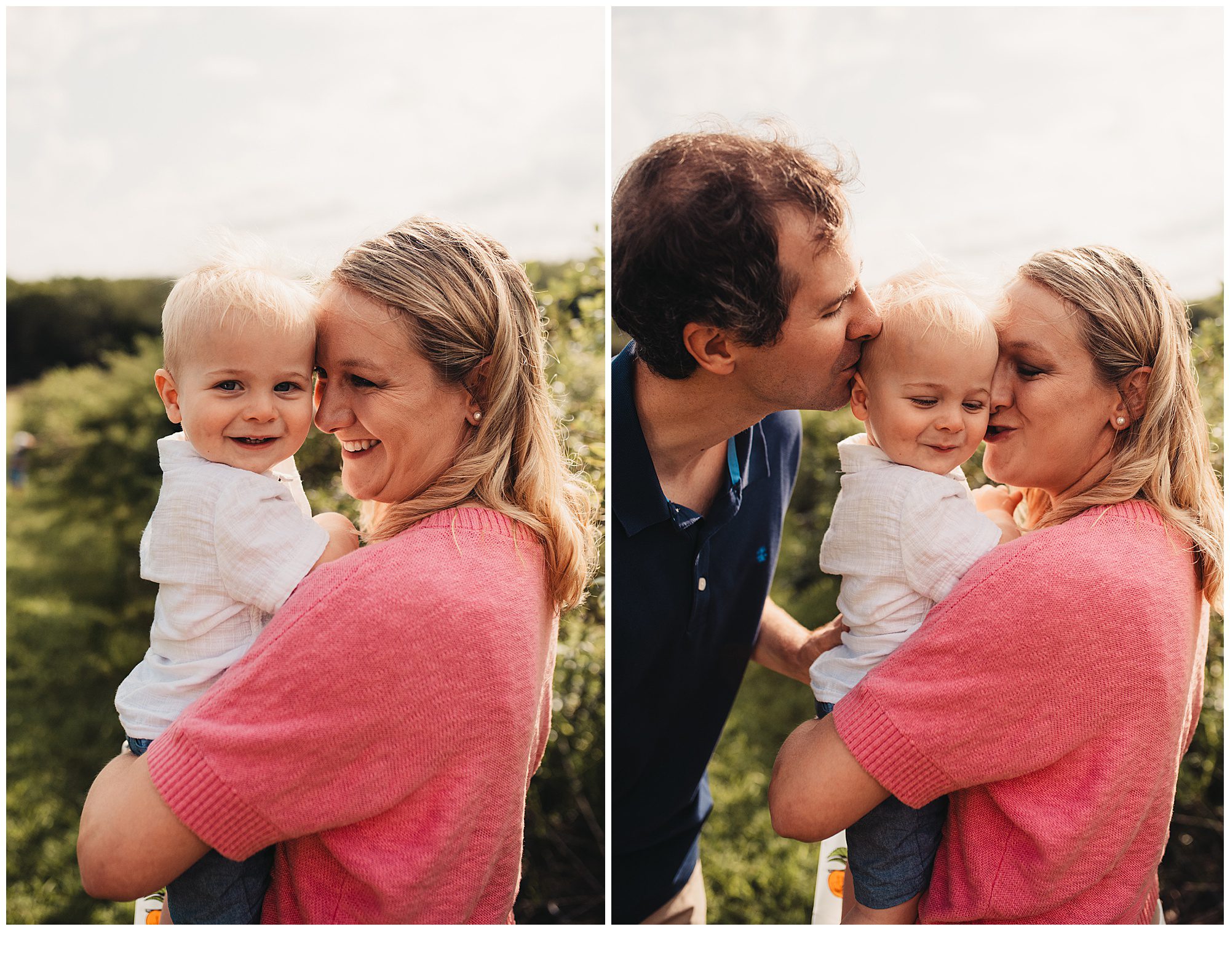 Blueberry picking family photos at Gieringers farm