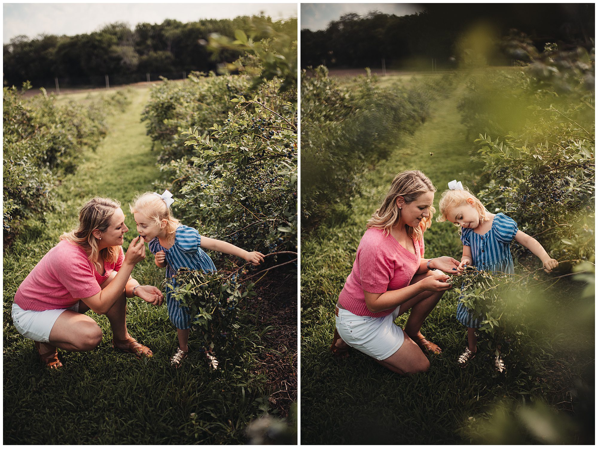 family photos while picking blueberrys at Gieringers farm