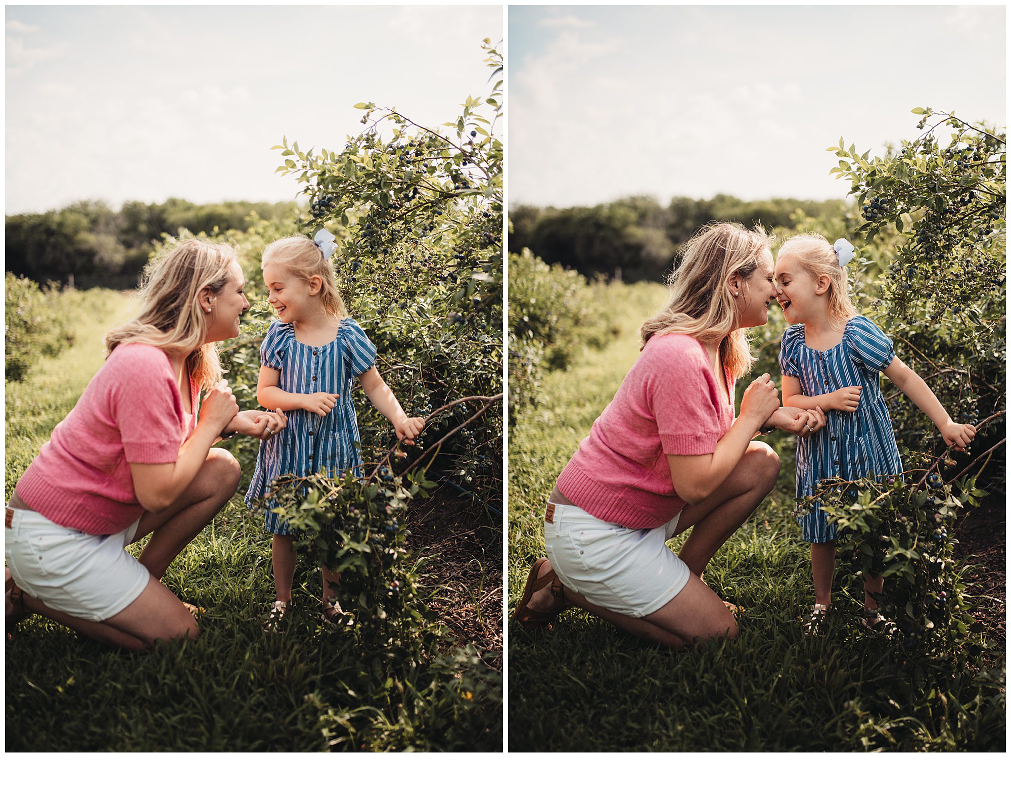 family photos while picking blueberrys at Gieringers farm
