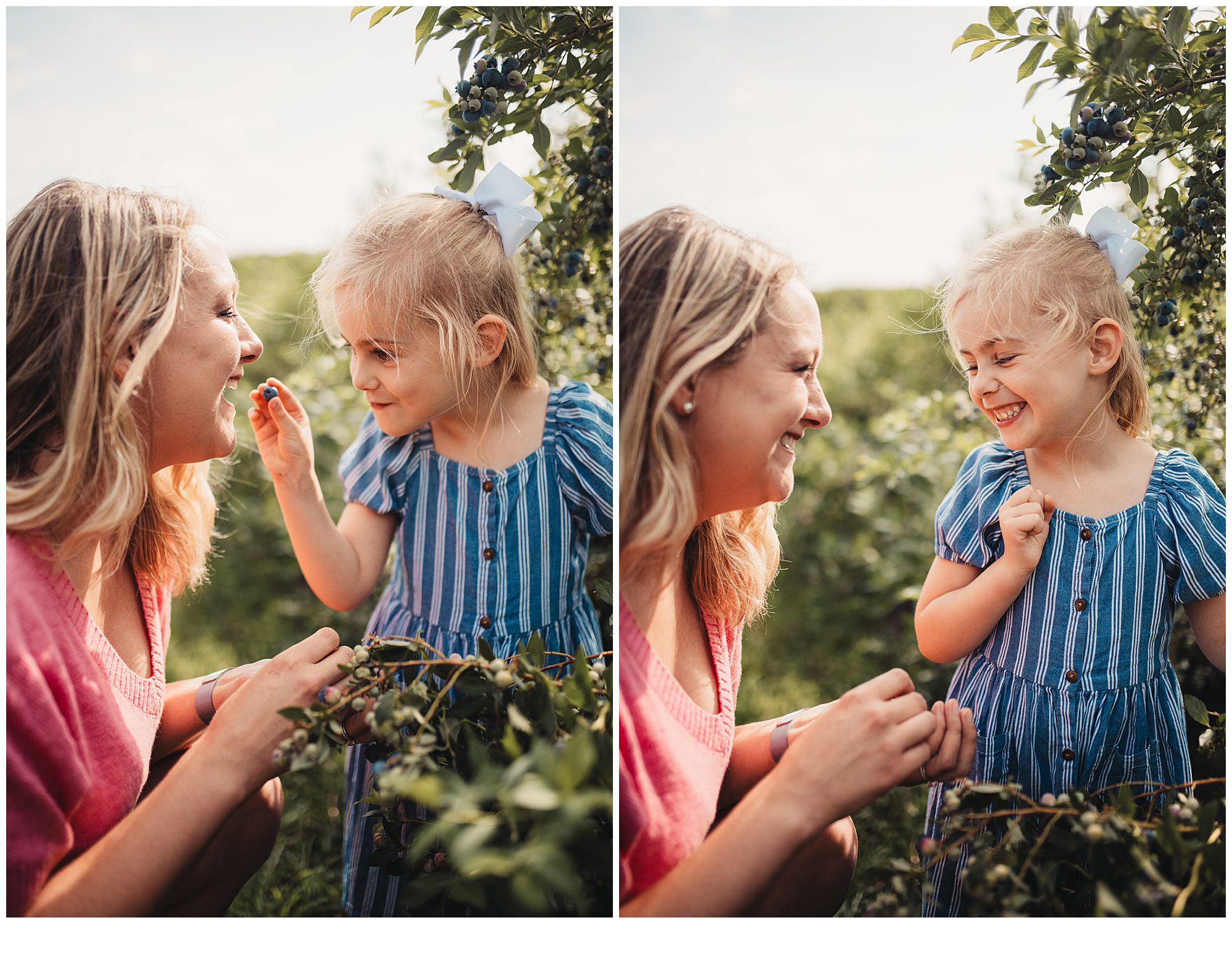 family photos while picking blueberrys at Gieringers farm