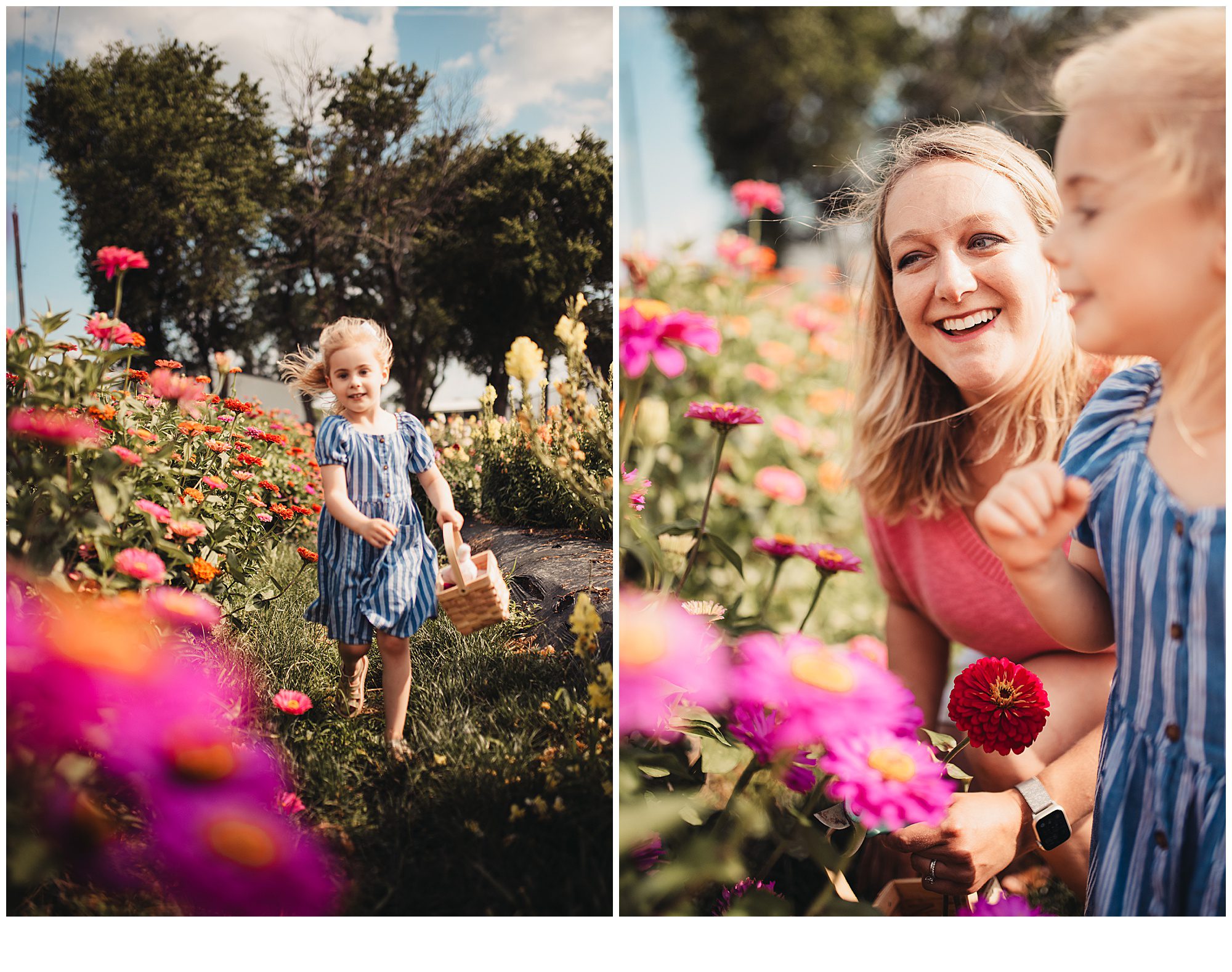 Family photos among flower patches in Kansas