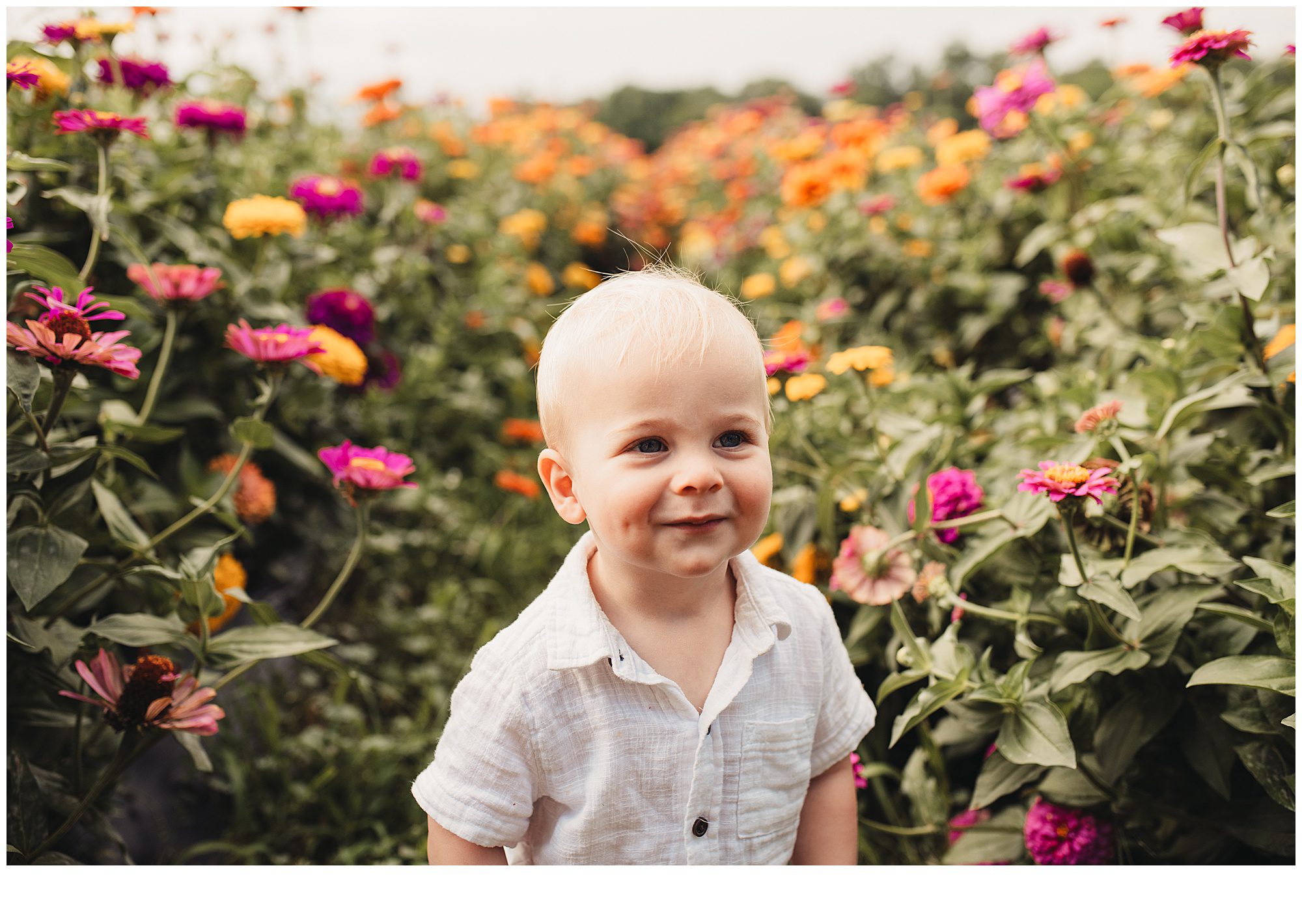 Family photos among flower patches in Kansas