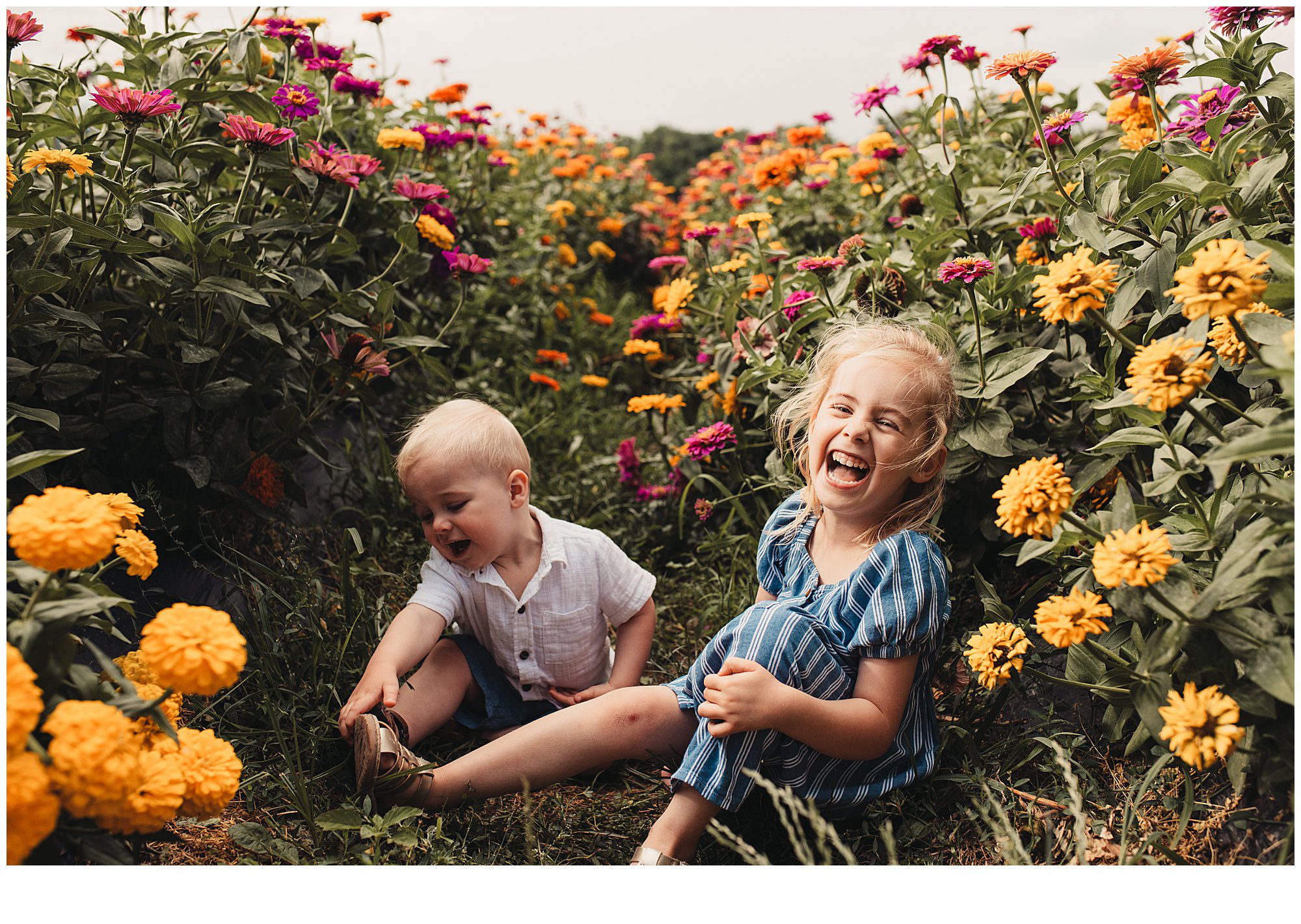 Family photos among flower patches in Kansas