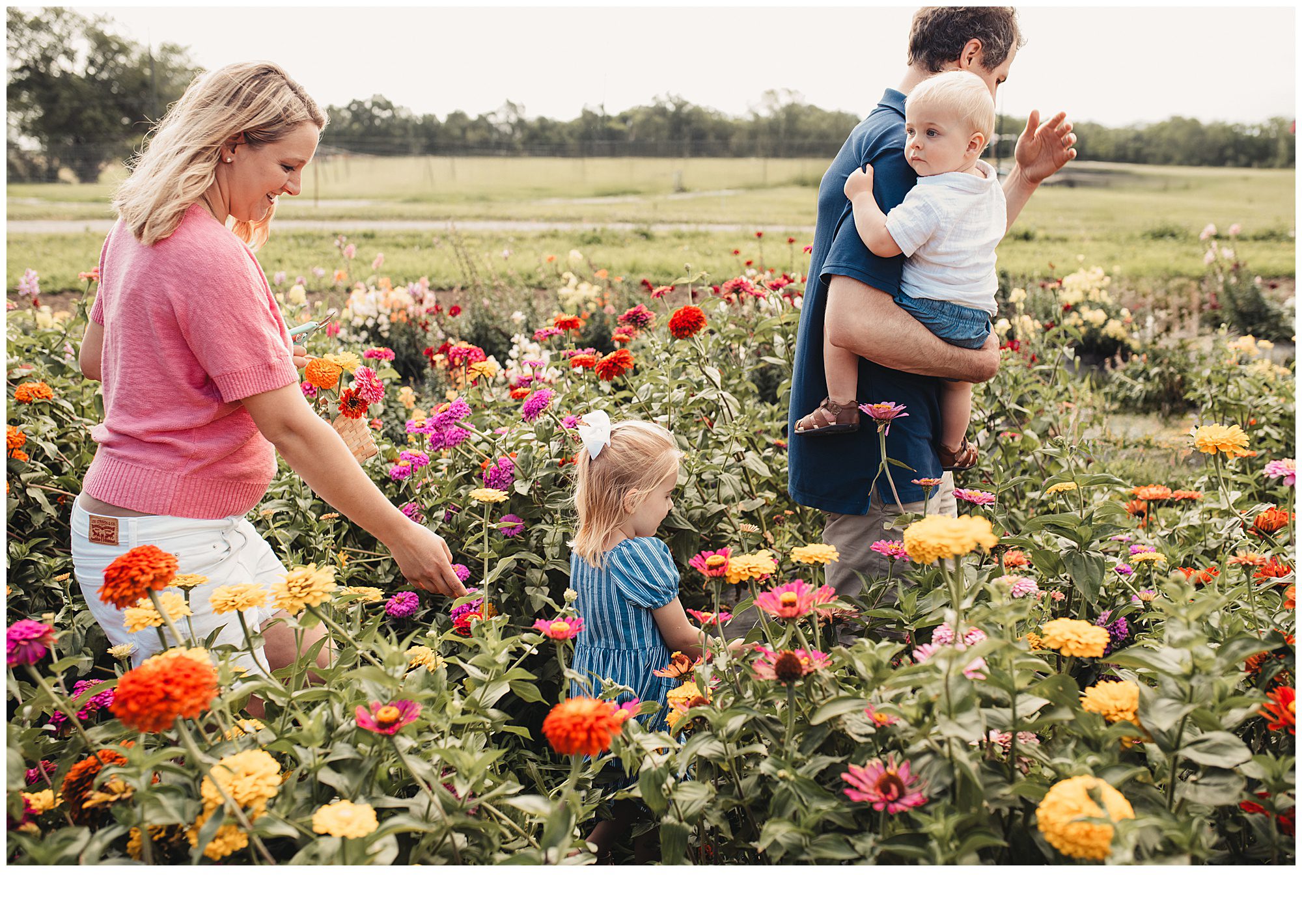 Family photos among flower patches in Kansas