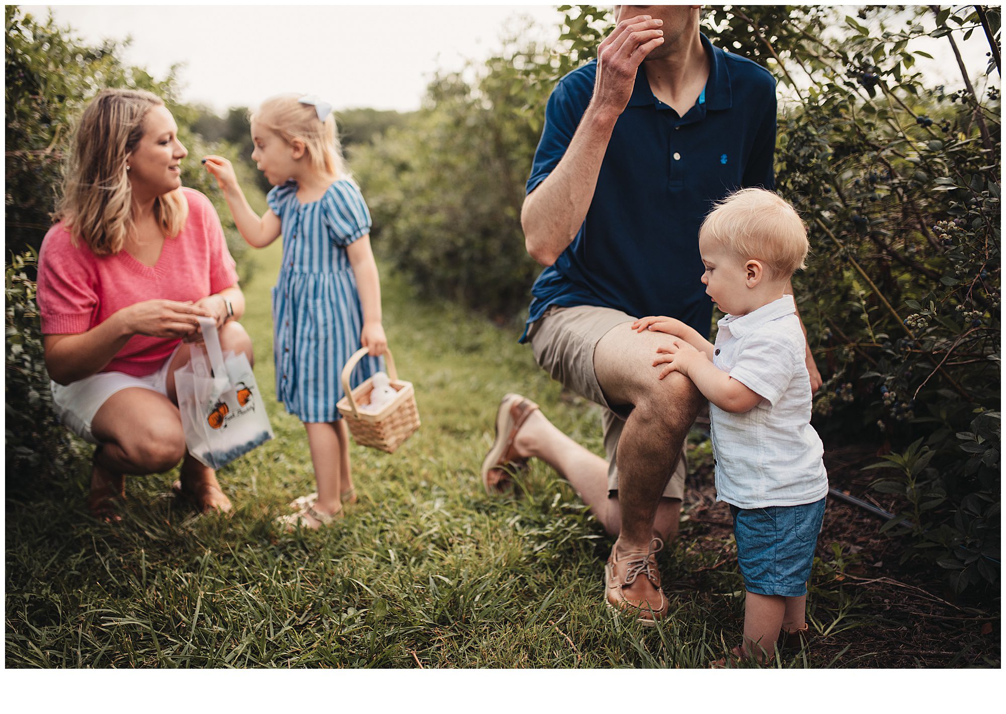 Blueberry picking family photos at Gieringers farm