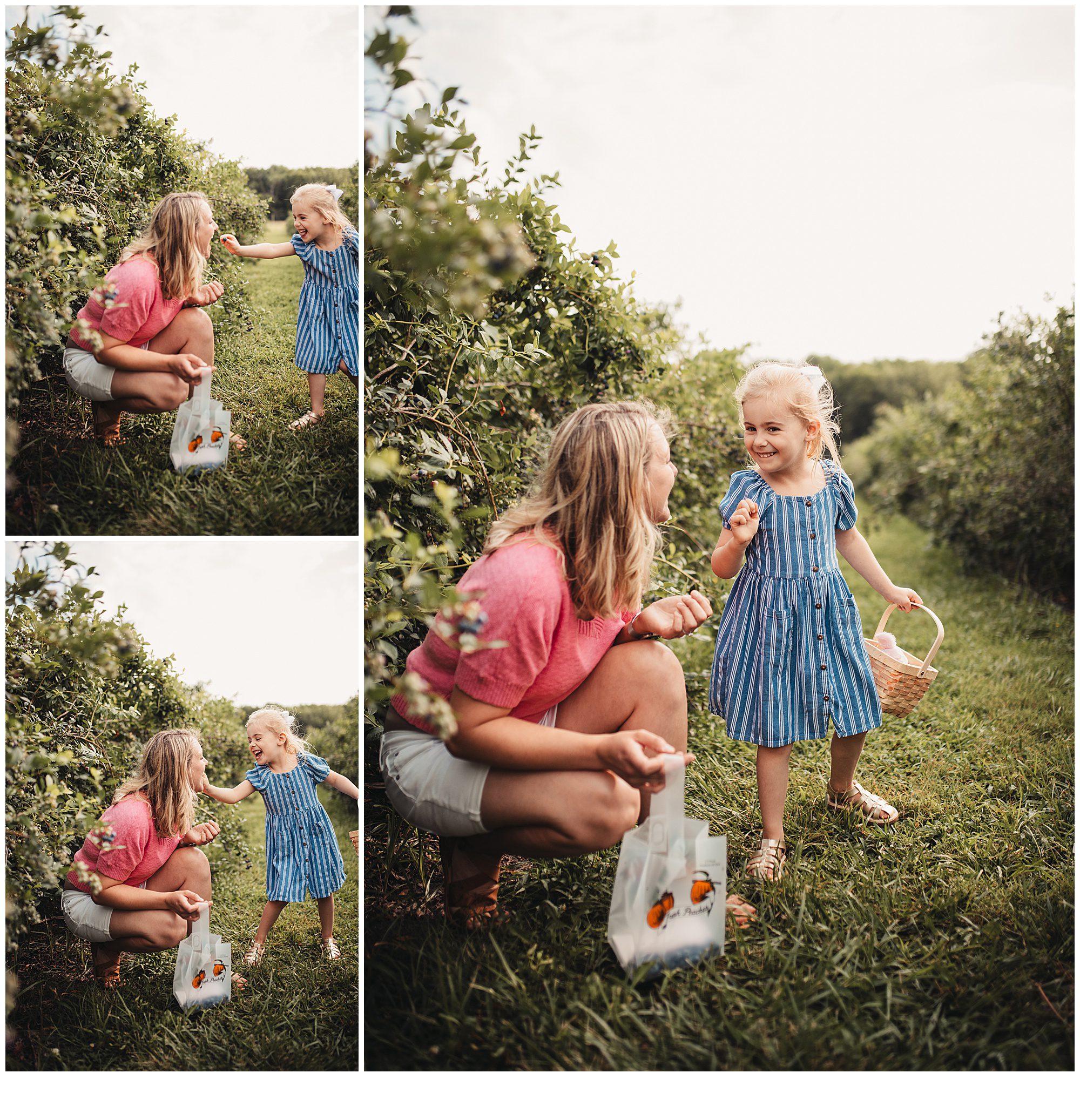 Blueberry picking family photos at Gieringers farm