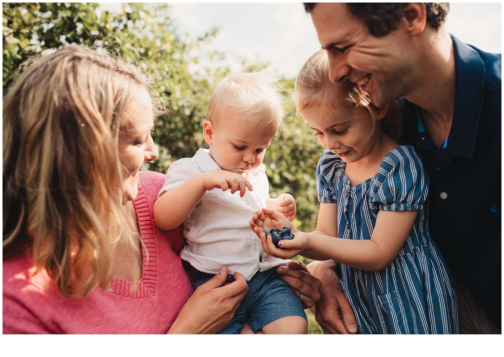 Blueberry picking family photos at Gieringers farm